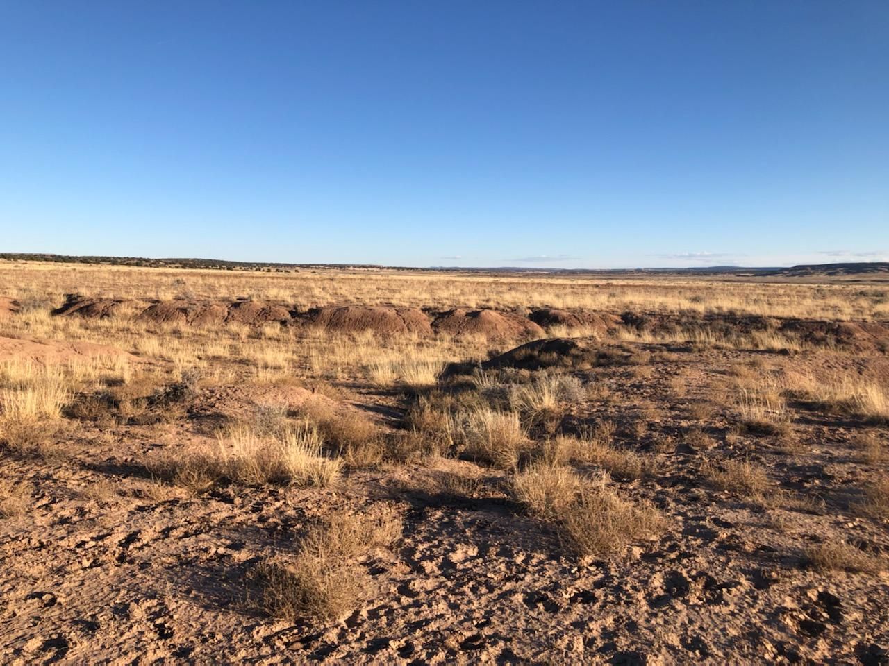 St Johns, Apache County, AZ Recreational Property, Undeveloped Land for