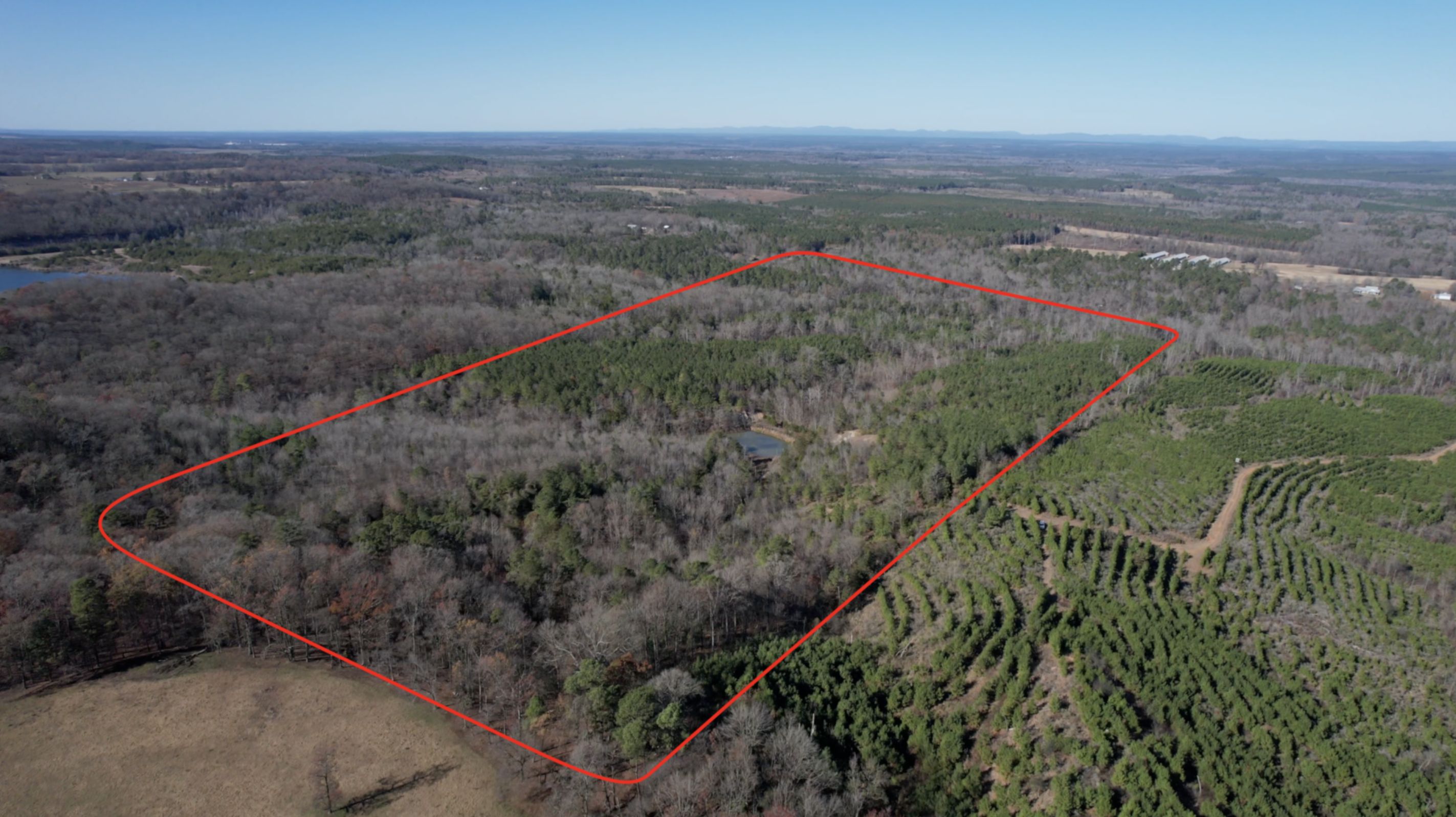 Nashville, Pike County, AR Recreational Property, Timberland Property