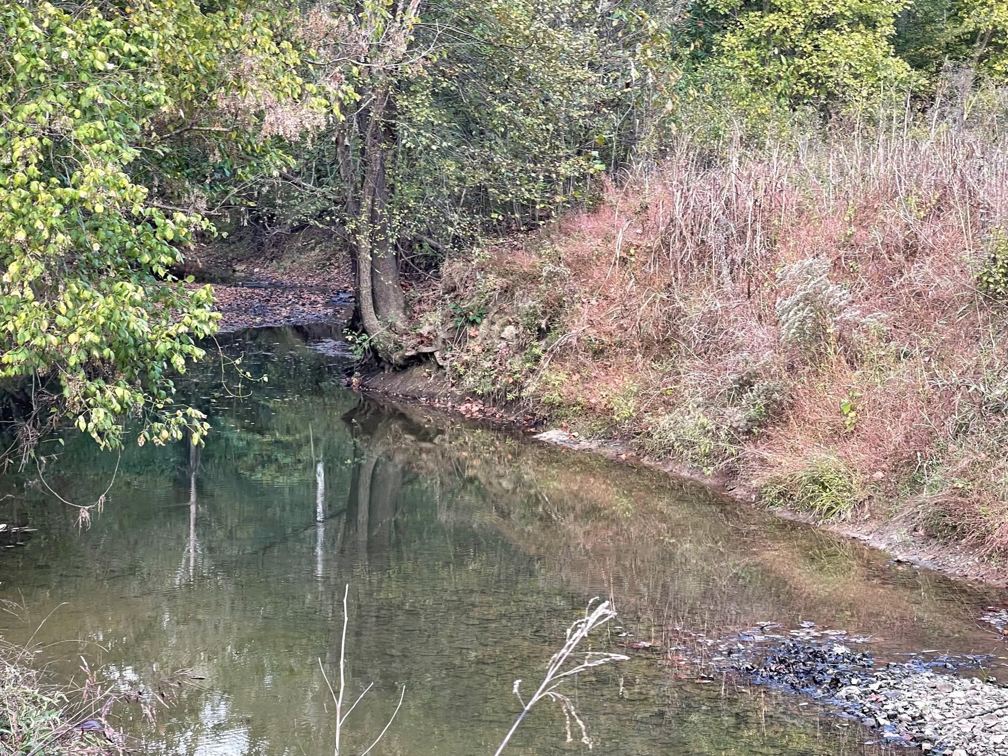 Burna, Livingston County, KY Undeveloped Land, Hunting Property