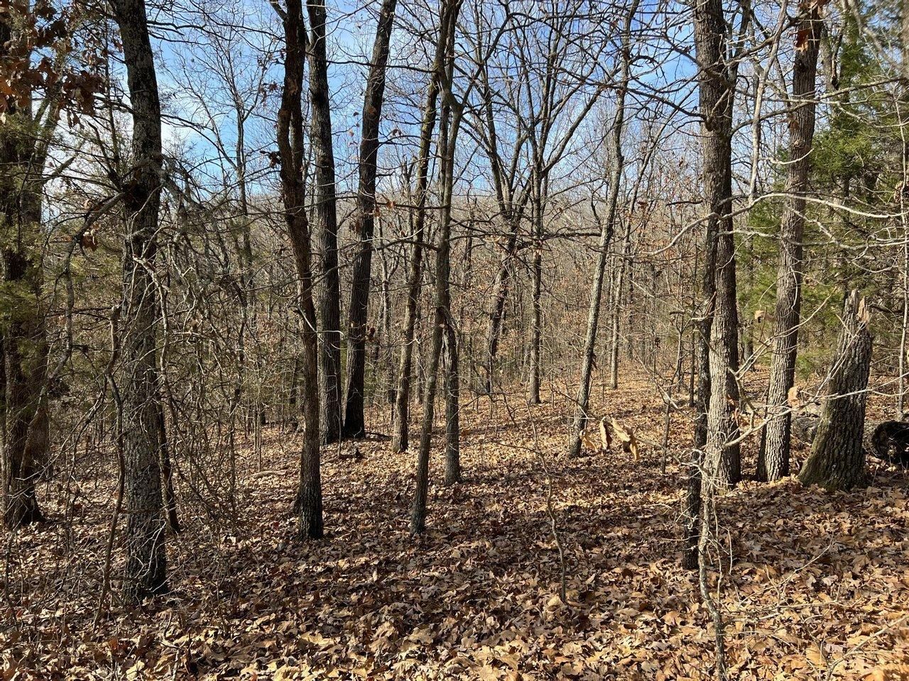 Phillipsburg, Laclede County, MO Recreational Property, Timberland Property, Hunting Property