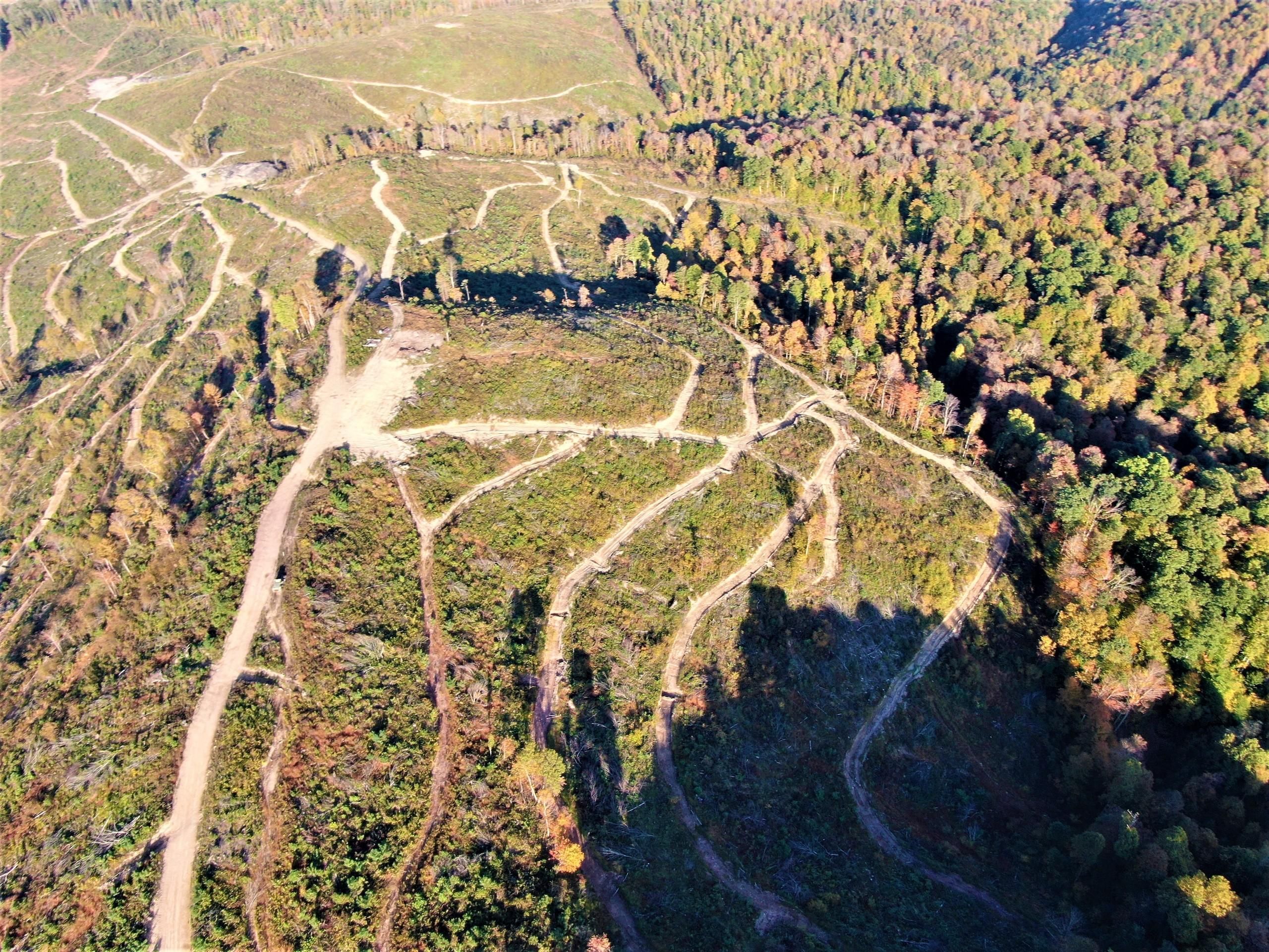 Terra Alta, Preston County, WV Recreational Property, Undeveloped Land, Hunting Property for