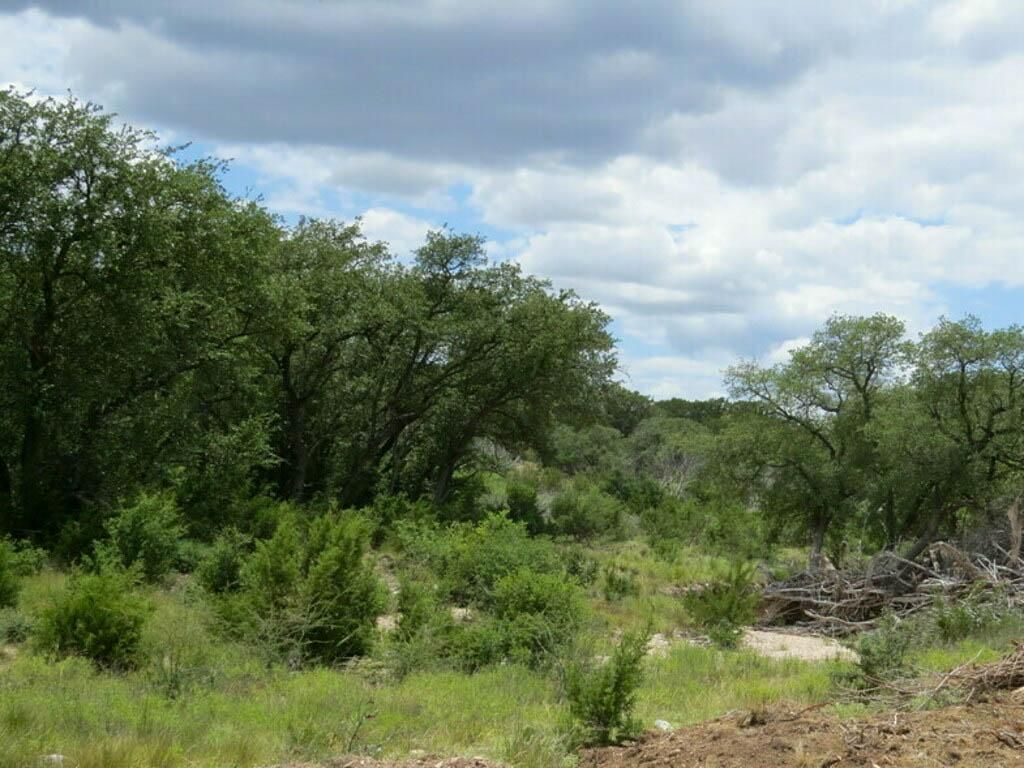 43.77 acres in Rocksprings, TX, 78880 LandWatch