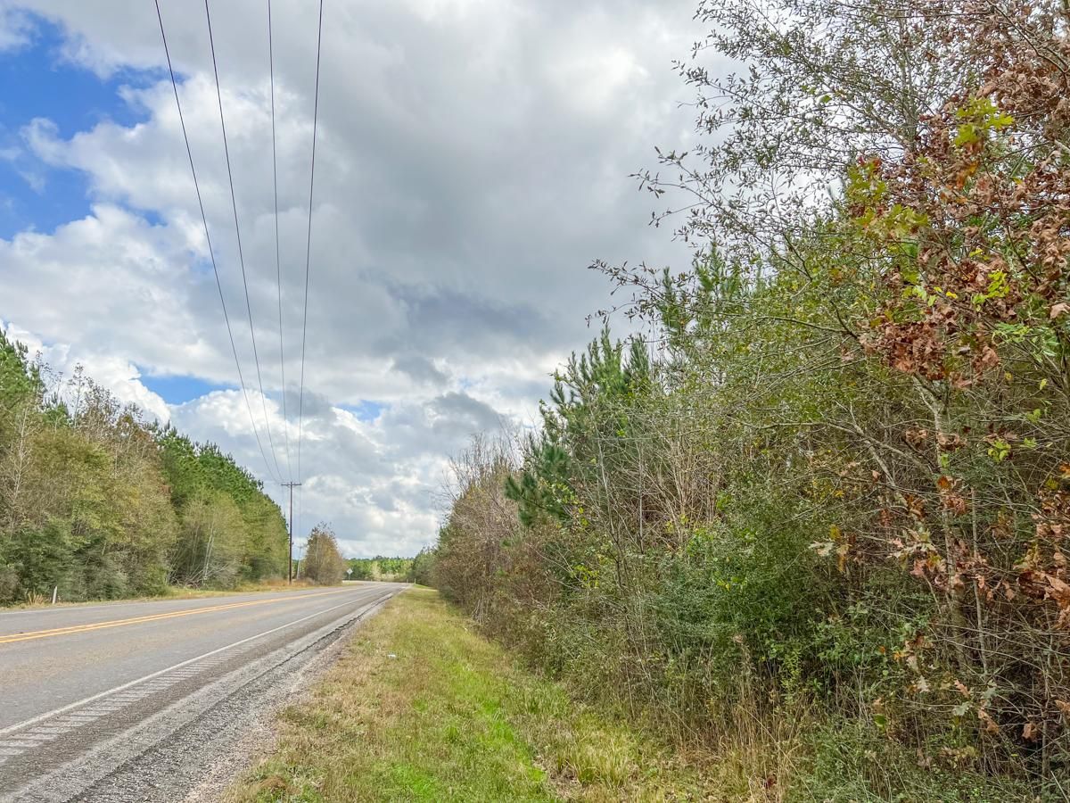 Cleveland, Liberty County, TX Farms and Ranches, Timberland Property, Hunting Property for sale