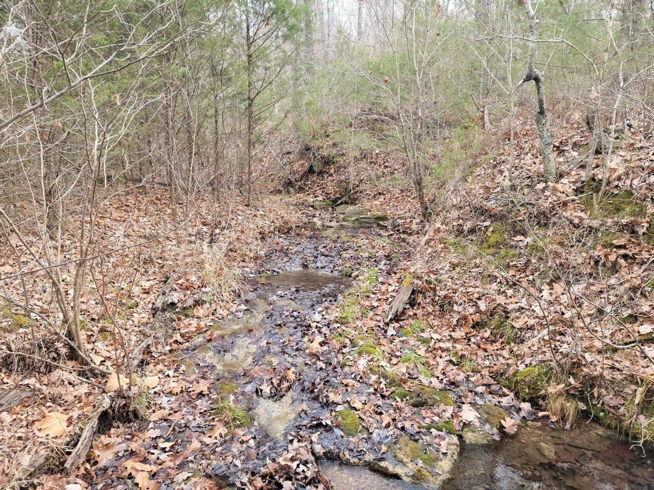 TBD MC 6063, Yellville, AR 72687 LandWatch