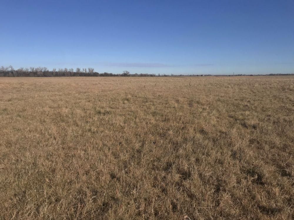 160 acres in Silver Creek, NE, LandWatch