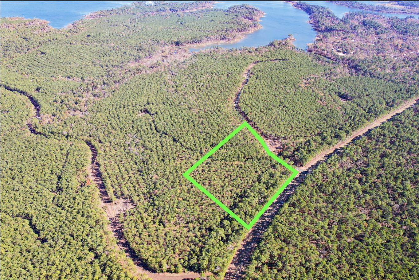 Broaddus, San Augustine County, TX Recreational Property, Timberland