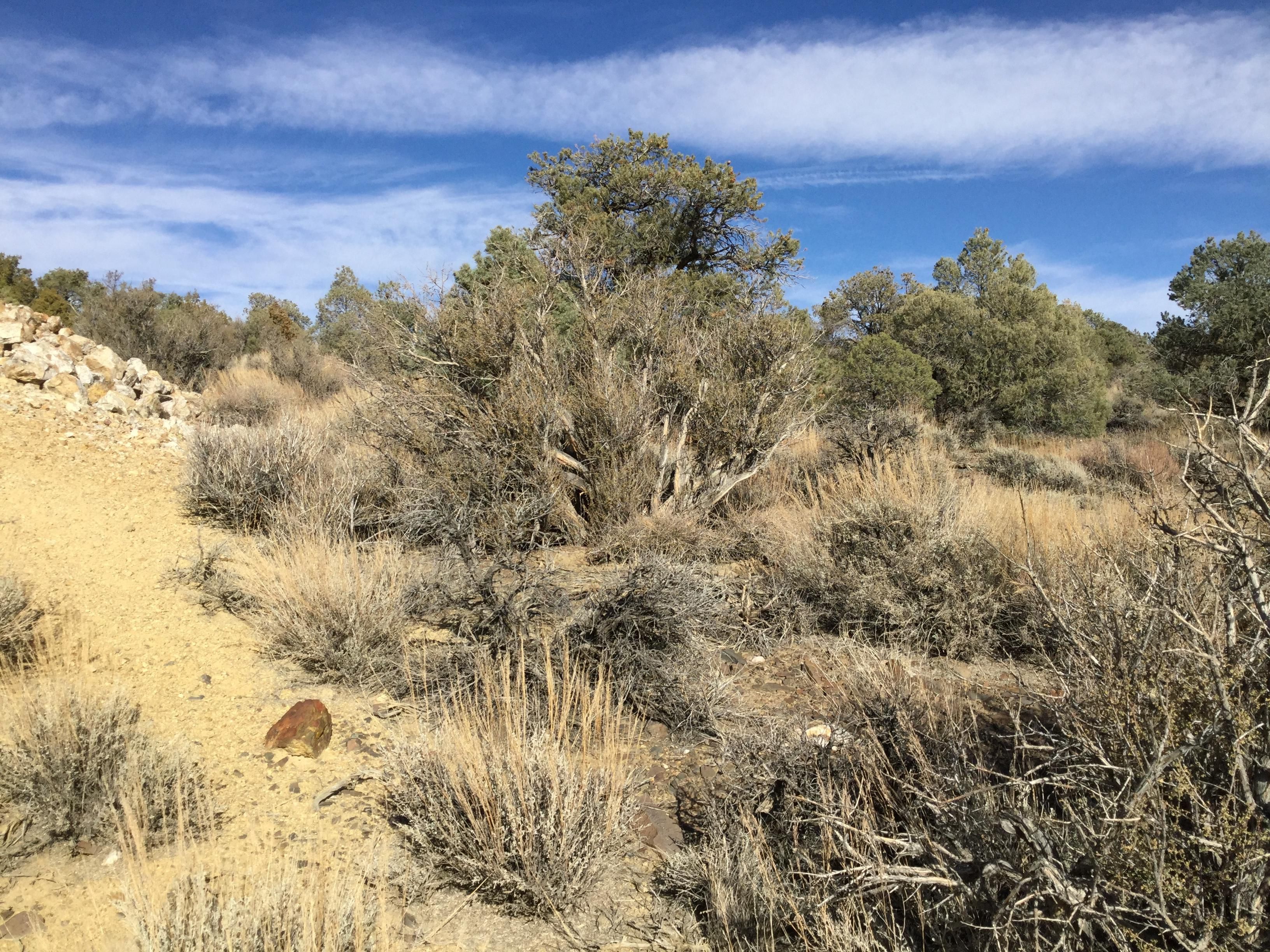 20.66 acres in Lida, NV, 89013 MLS Exclusive LandWatch