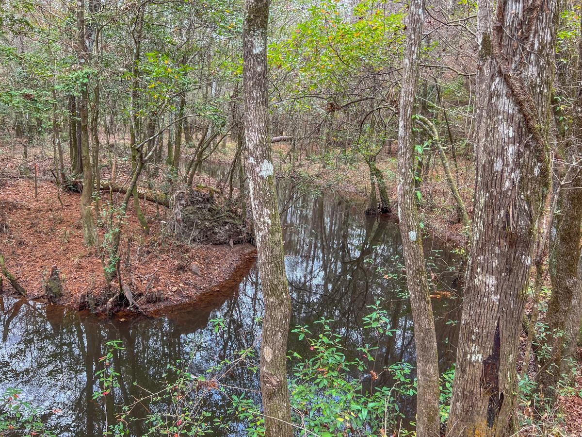 Warren, Tyler County, TX Recreational Property, Timberland Property