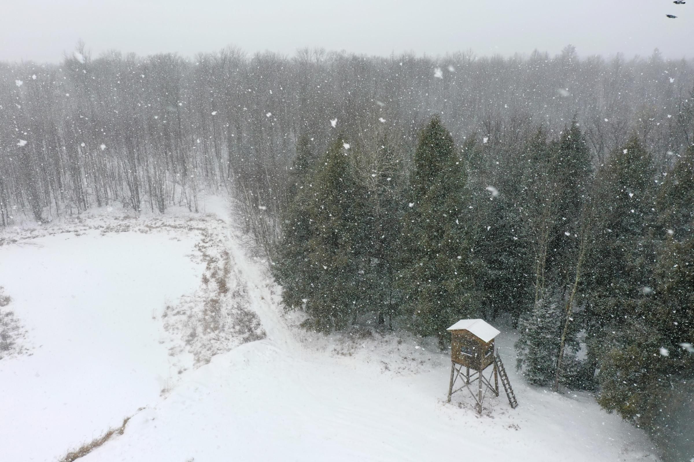 Ogema, Price County, WI Recreational Property, Hunting Property for sale Property ID 412385406