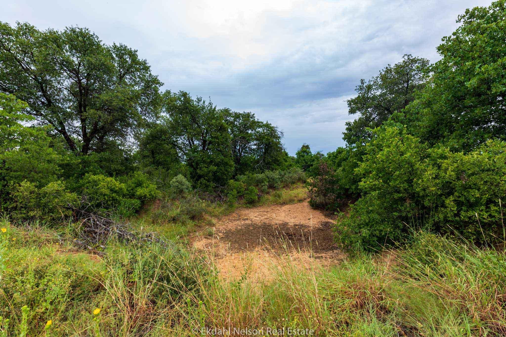 Hawley, Jones County, TX Farms and Ranches, Recreational Property