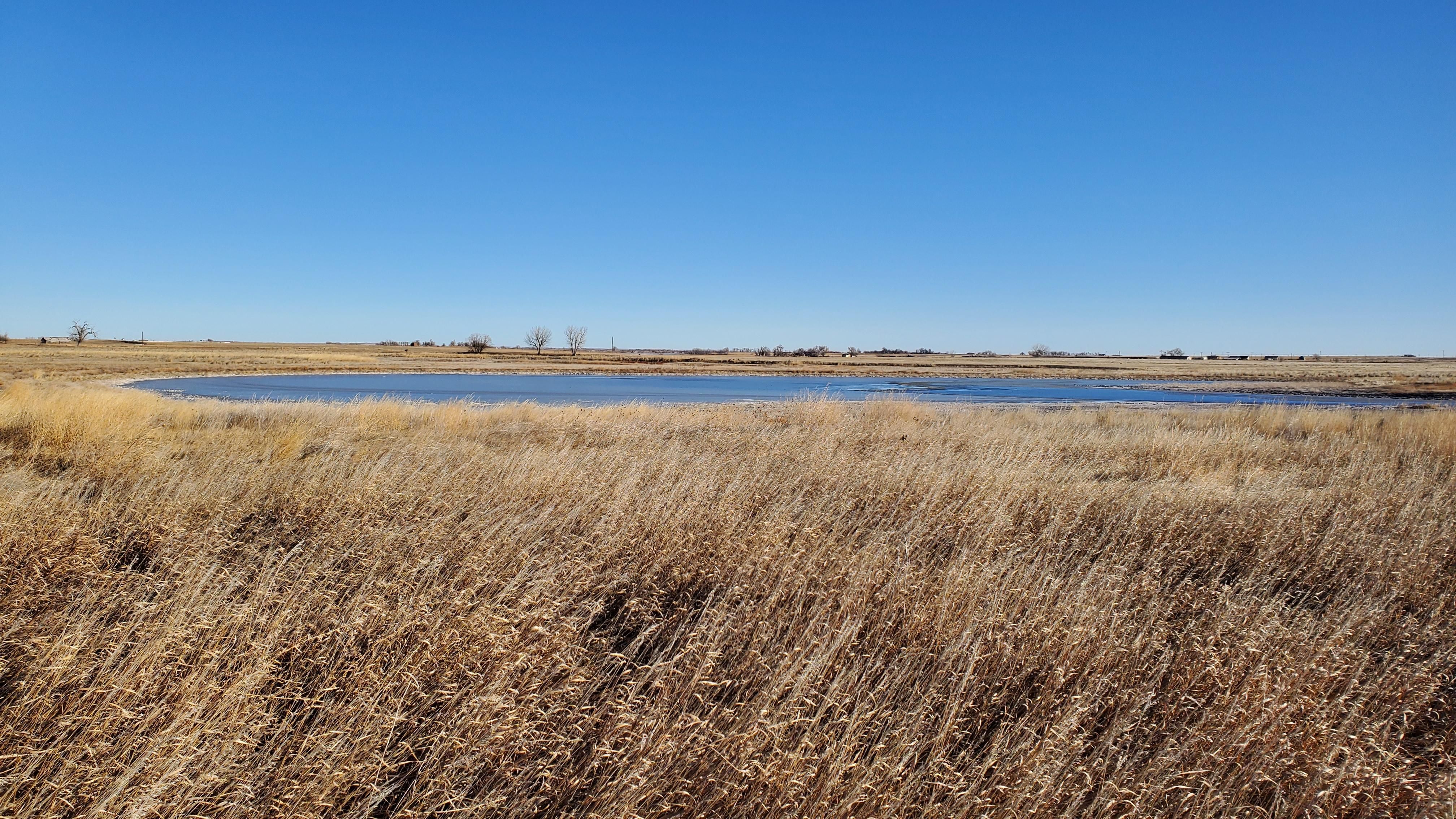 Hawk Springs, Goshen County, WY Farms and Ranches, Hunting Property for