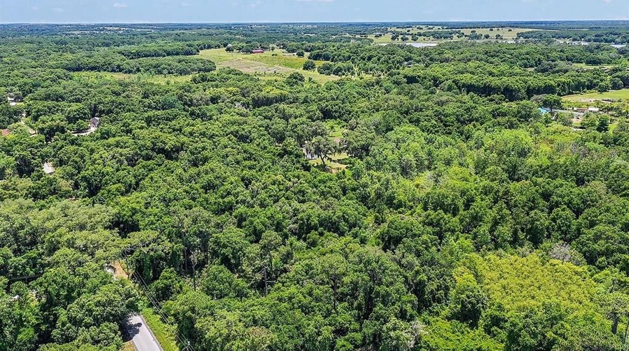 Yalaha, Lake County, FL Recreational Property, Undeveloped Land