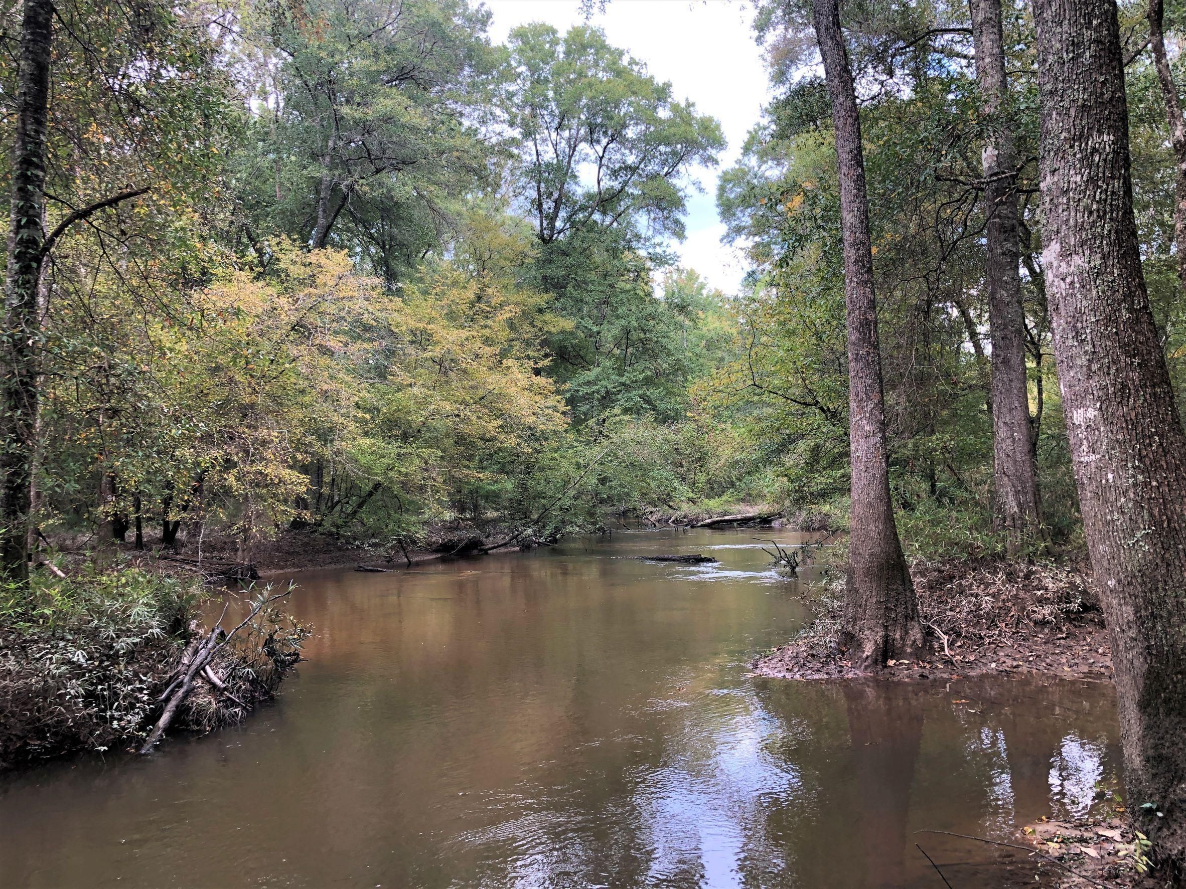 Sandersville, Washington County, GA Recreational Property, Timberland