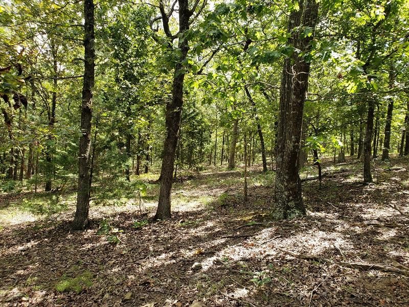 Leflore, Le Flore County, OK Recreational Property, Timberland Property