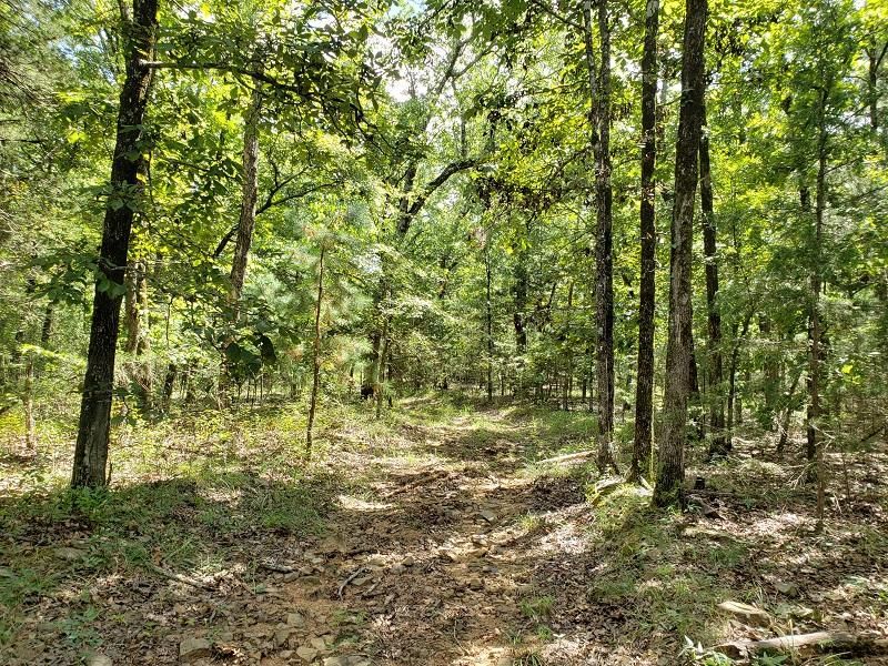 Leflore, Le Flore County, OK Recreational Property, Hunting Property for sale Property ID