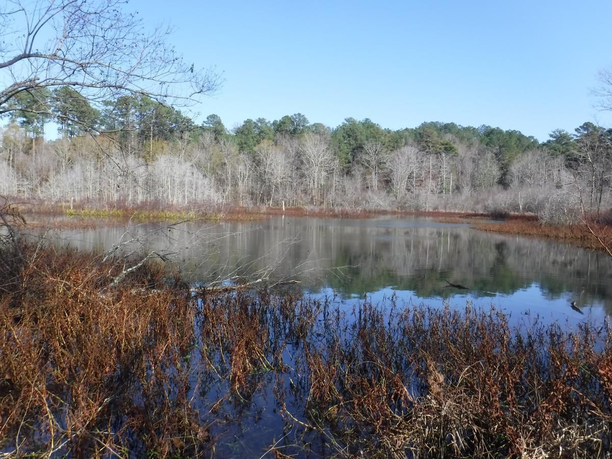 Hickory, Newton County, MS Recreational Property, Timberland Property