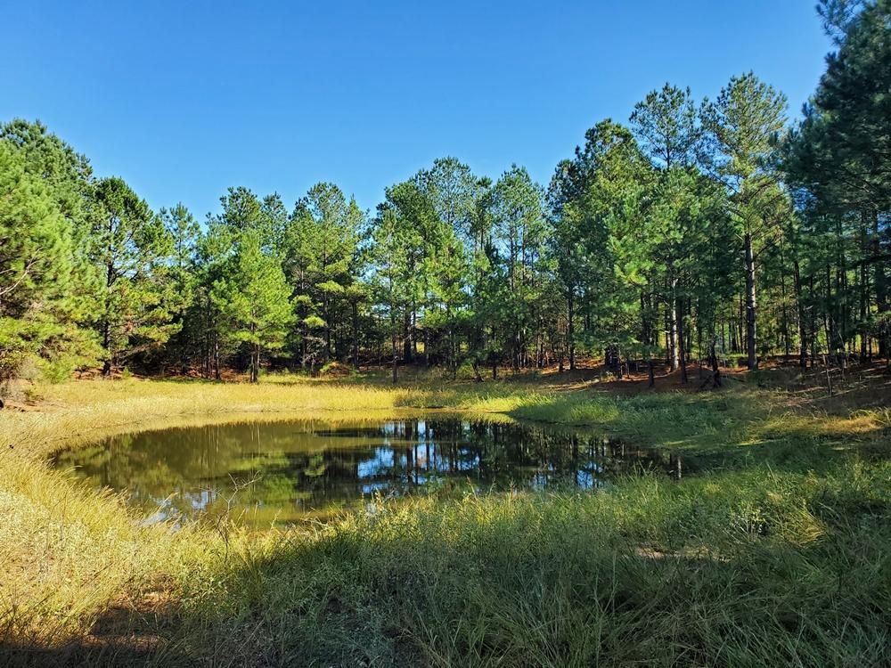 Antlers, Pushmataha County, OK Recreational Property for sale Property ID 412411566 LandWatch