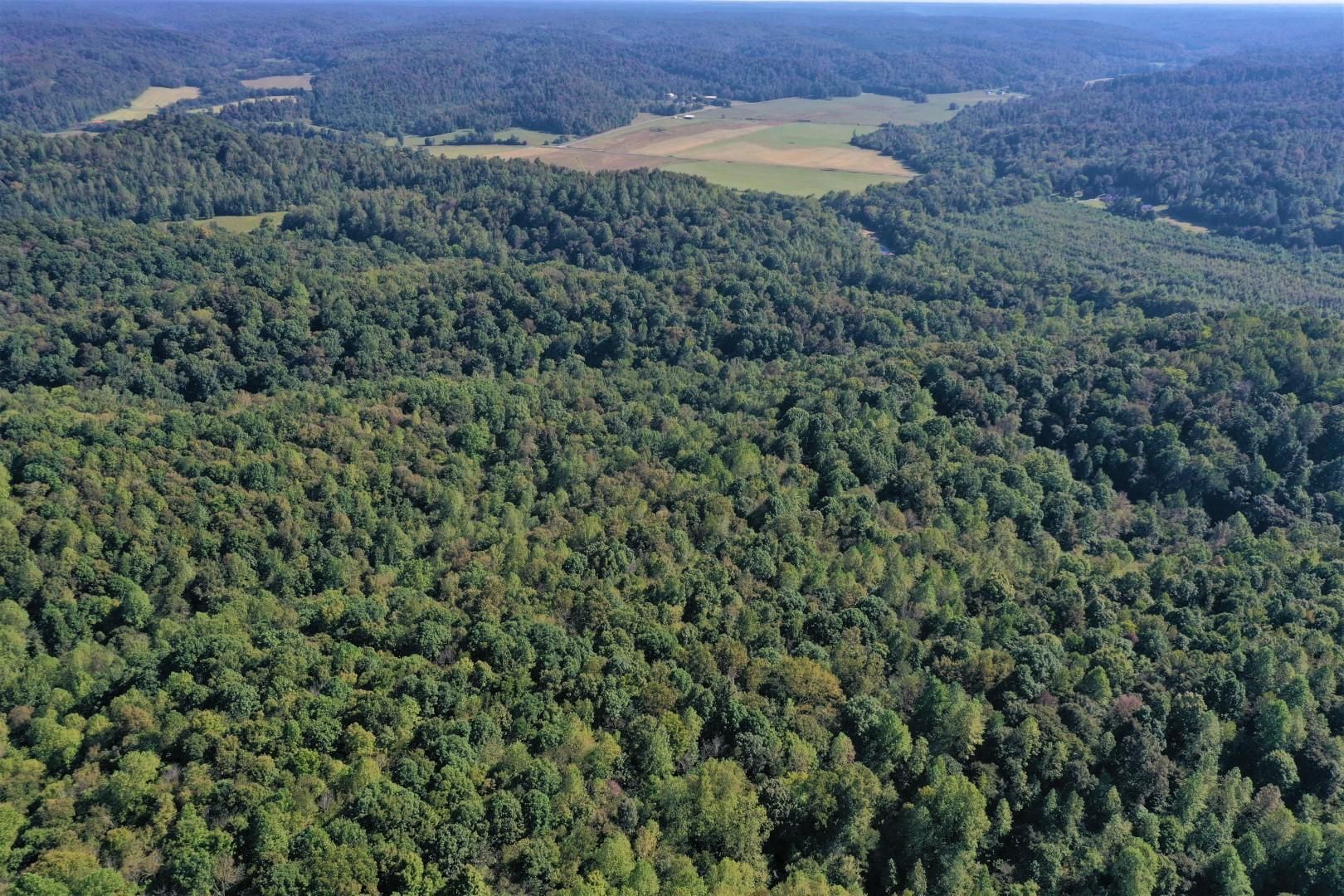 Waynesboro, Wayne County, TN Recreational Property, Timberland Property, Hunting Property for