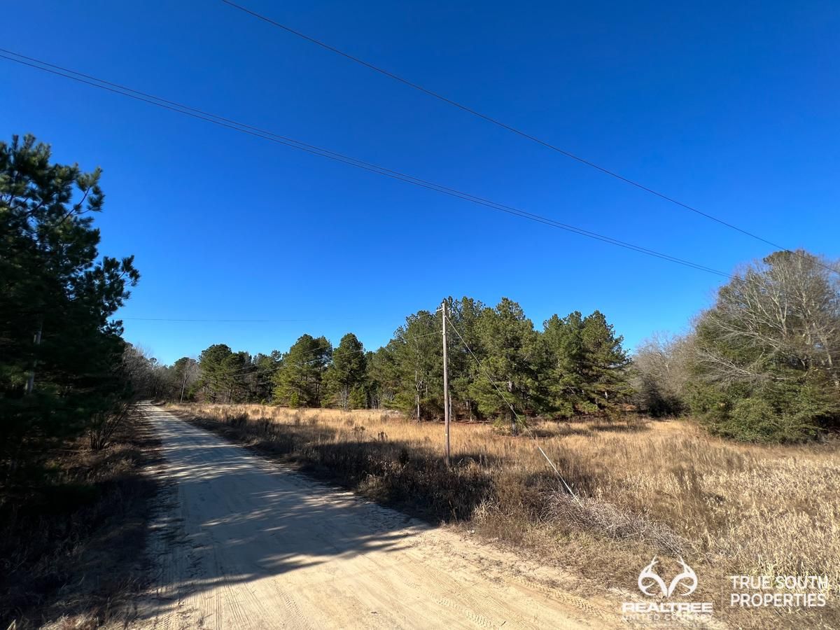 Barnwell, Barnwell County, SC Recreational Property, Hunting Property