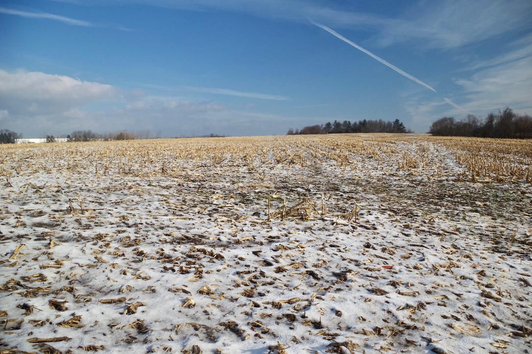 906 acres in Canajoharie, NY, 13317 LandWatch