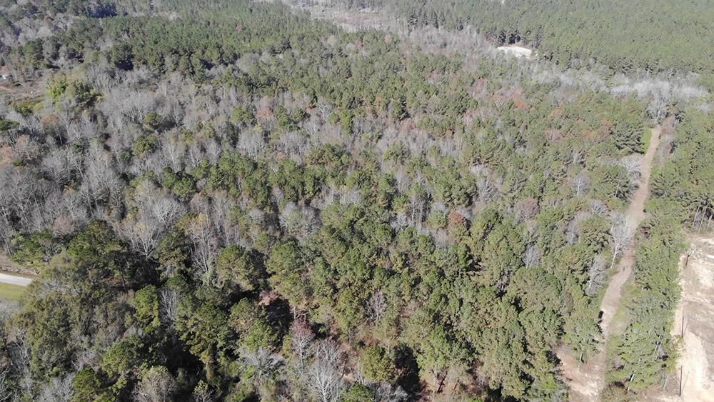 Ellisville, Jones County, MS Recreational Property, Timberland Property