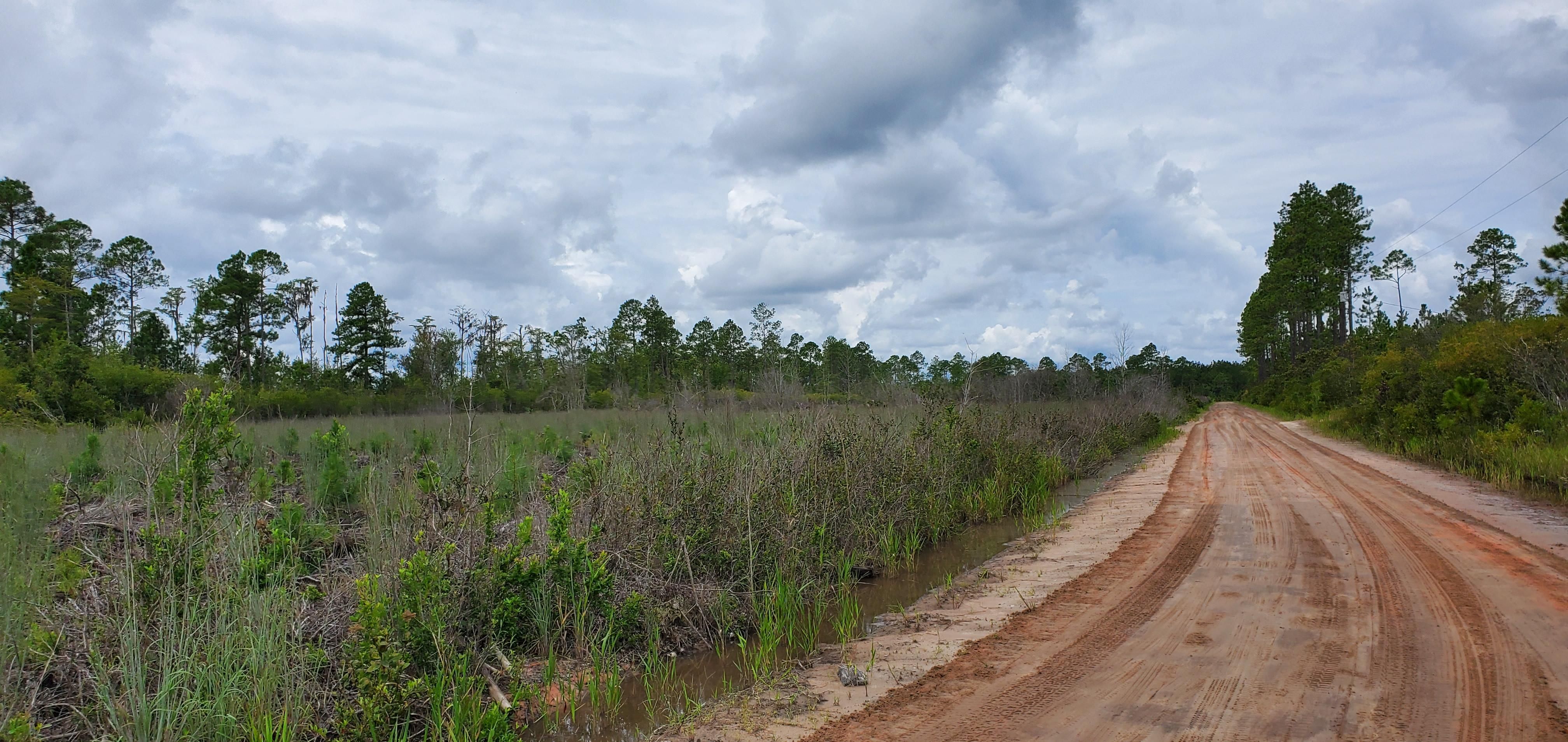 Gooding Bay Rd, Waycross, GA 31501 MLS 2H LandWatch