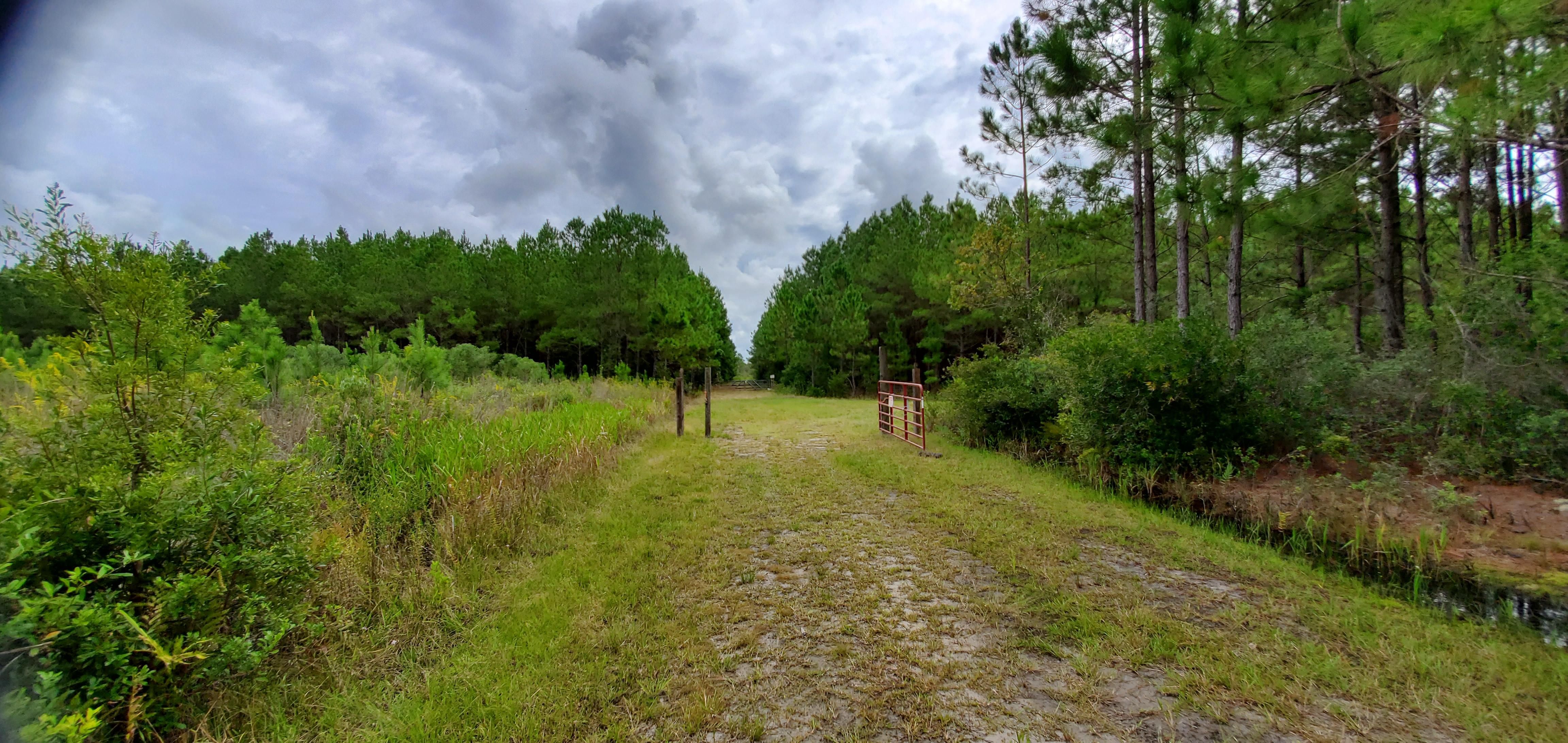 Waycross, Ware County, GA Recreational Property, Timberland Property