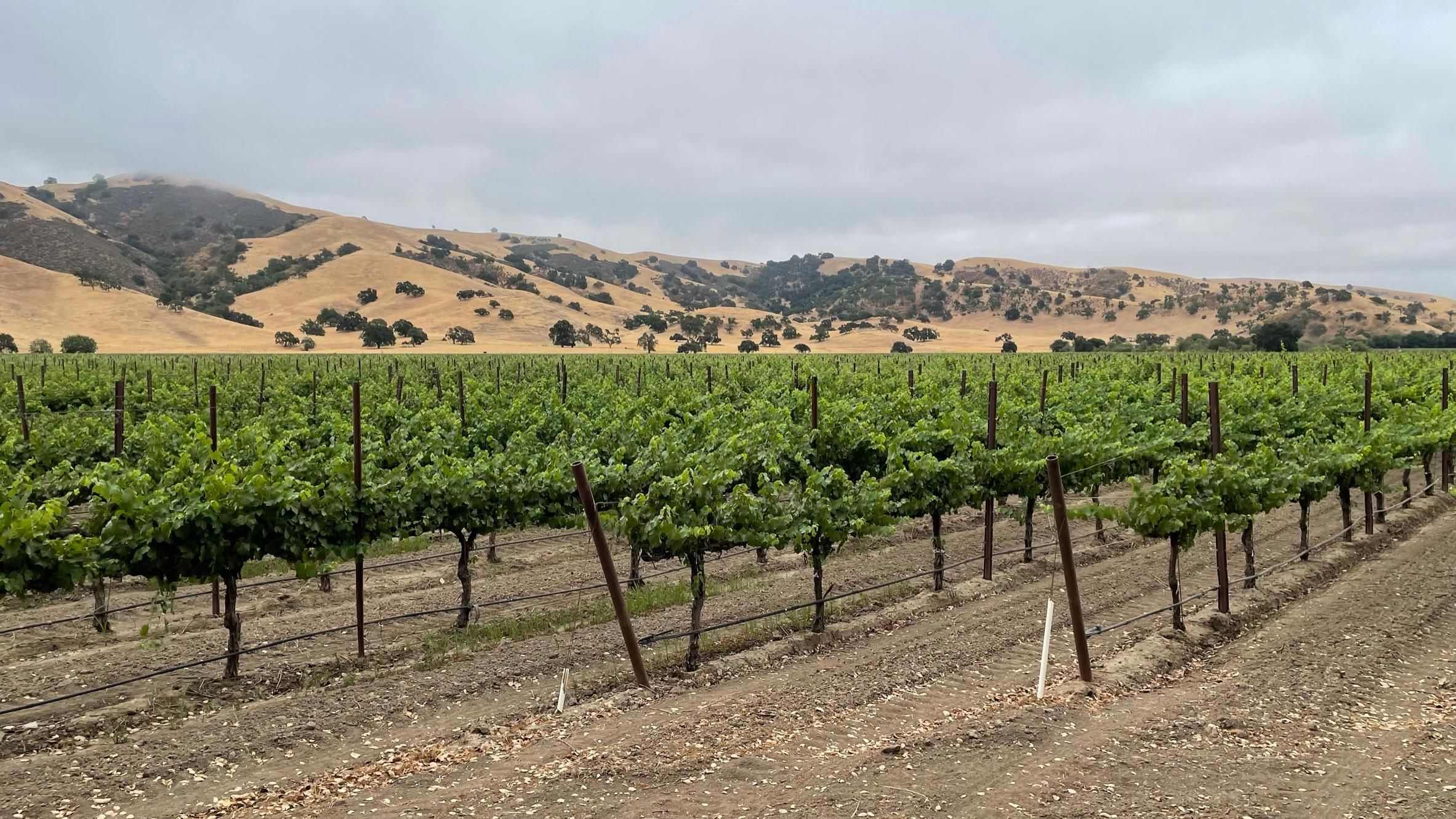 Hollister, San Benito County, CA Farms and Ranches, Recreational