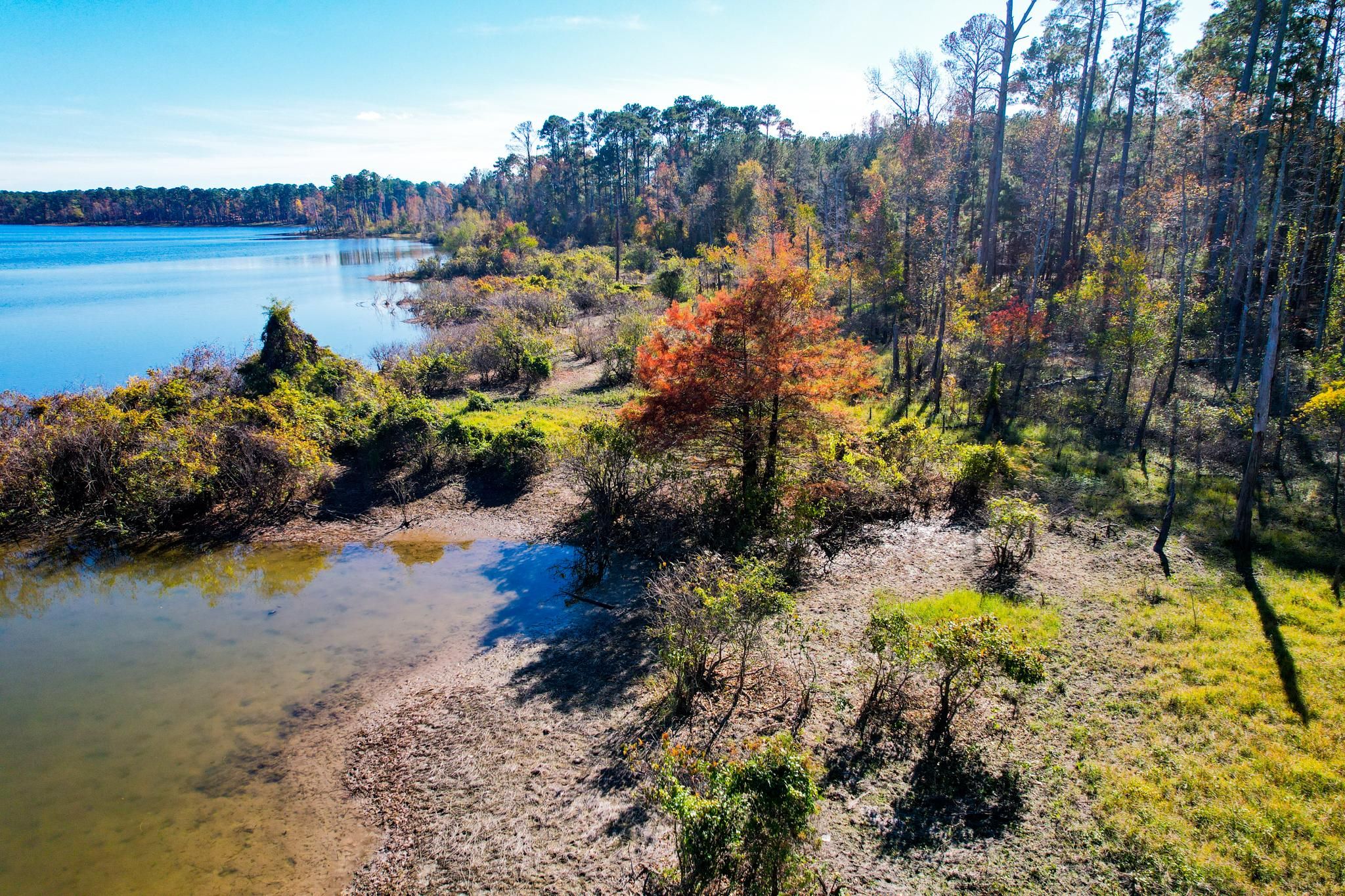 Broaddus, San Augustine County, TX Recreational Property, Homesites for