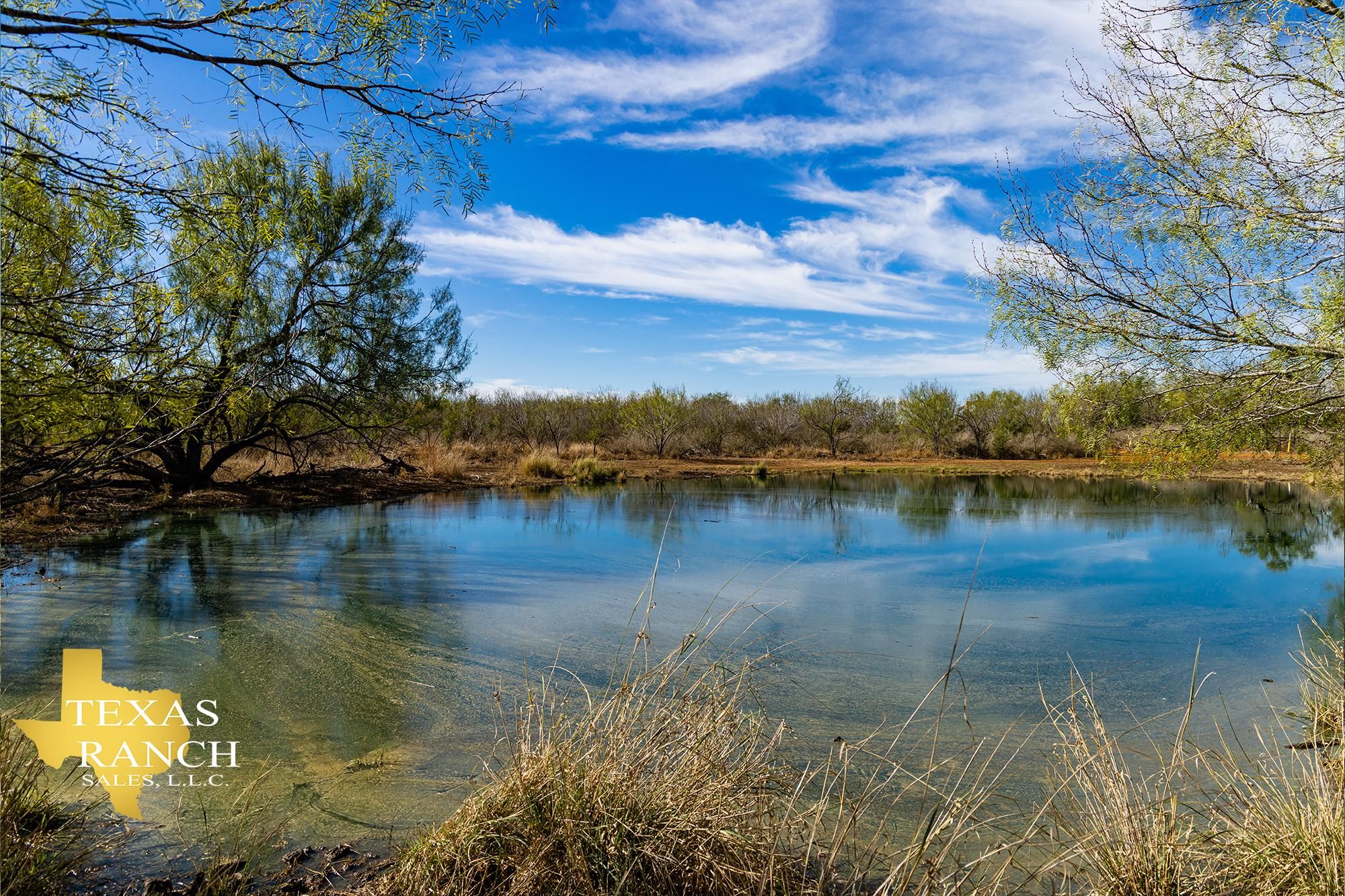 Dilley, Frio County, TX Farms and Ranches, Recreational Property, Hunting Property, House for