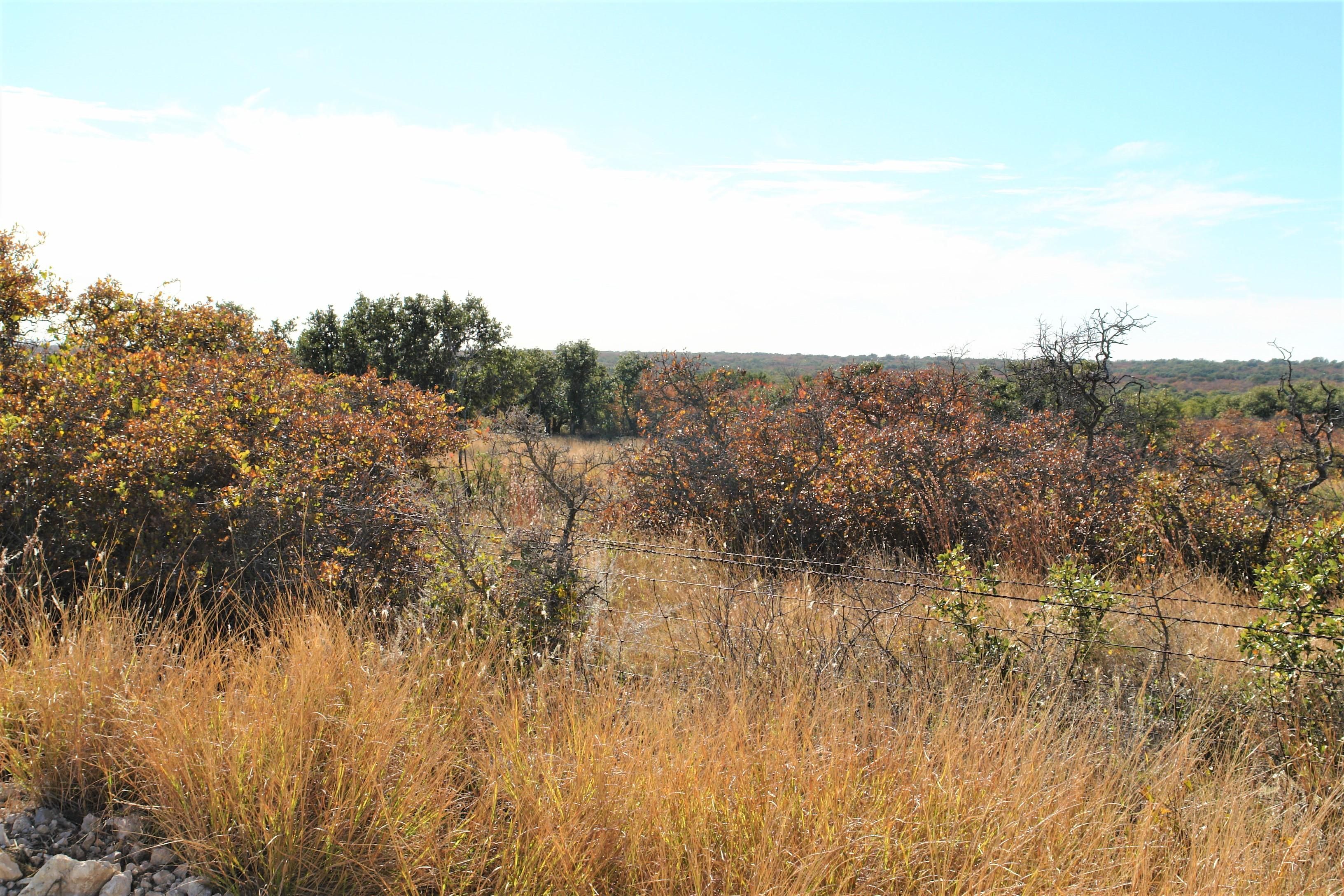 Brady, McCulloch County, TX Farms and Ranches, Recreational Property