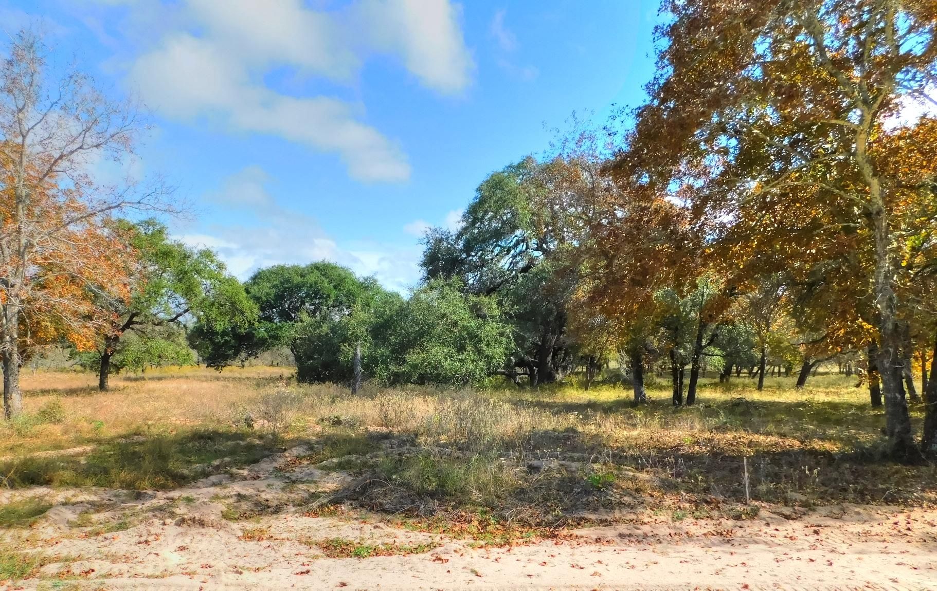 County Road 781, Natalia, TX 78059 LandWatch