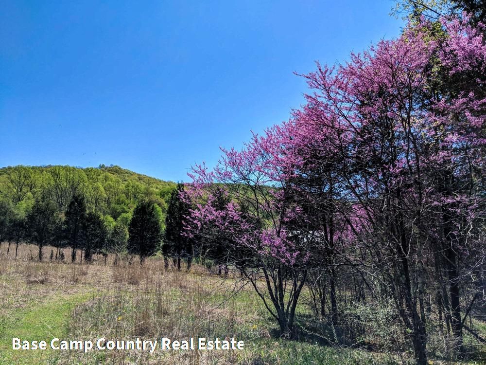 424 Kepp Road, Lynx, OH 45650 LandWatch