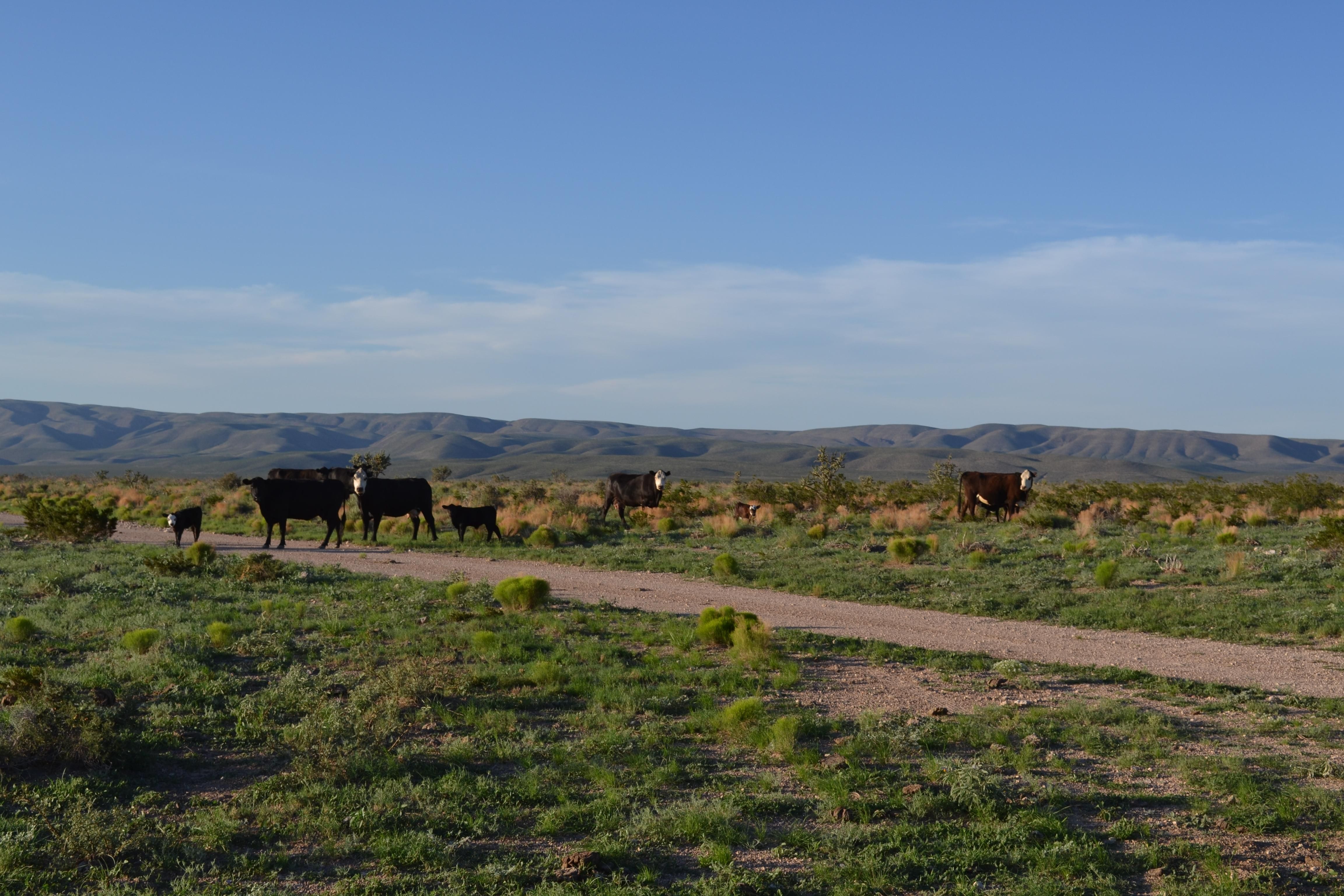 111,812 acres in Pinon, NM, 88317 LandWatch