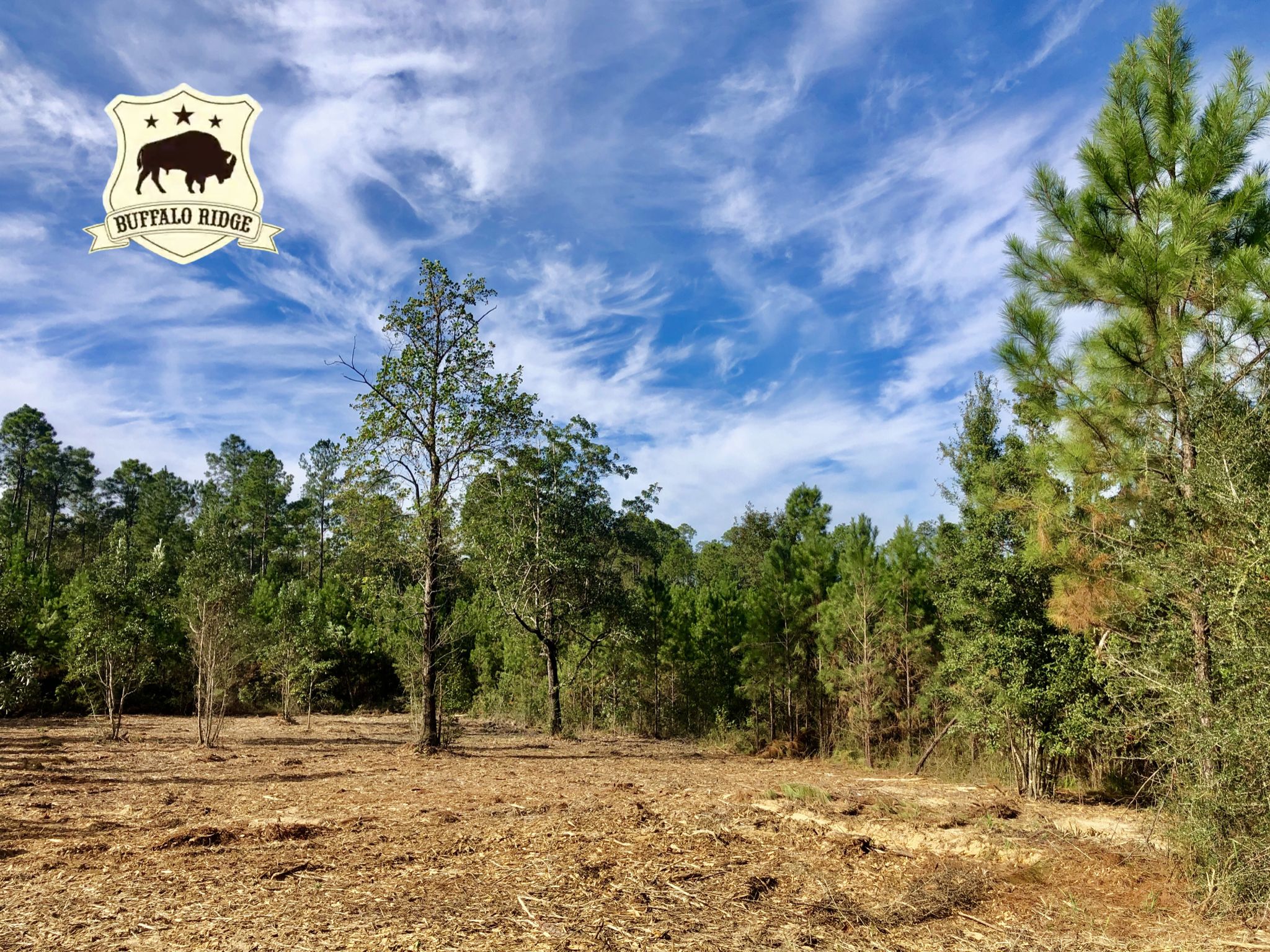 Pace, Santa Rosa County, FL Timberland Property, Horse Property for