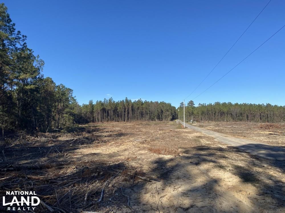 Wiggins, Perry County, MS Timberland Property, Undeveloped Land