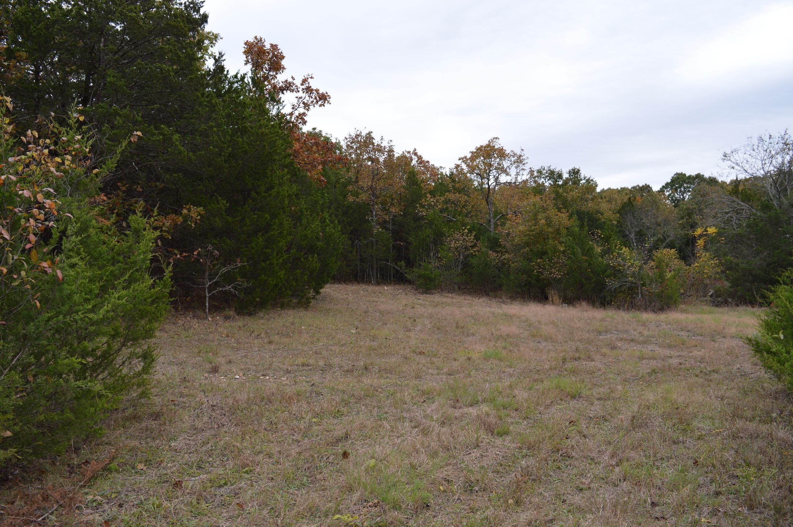 Buffalo, Dallas County, MO Recreational Property, Timberland Property