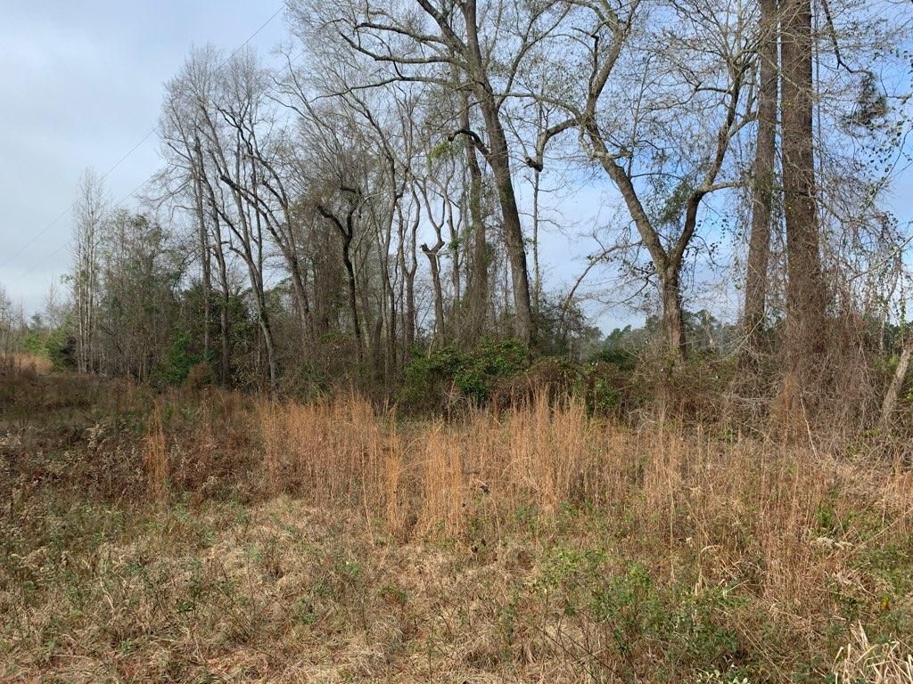 Sylvania, Screven County, GA Recreational Property, Undeveloped Land
