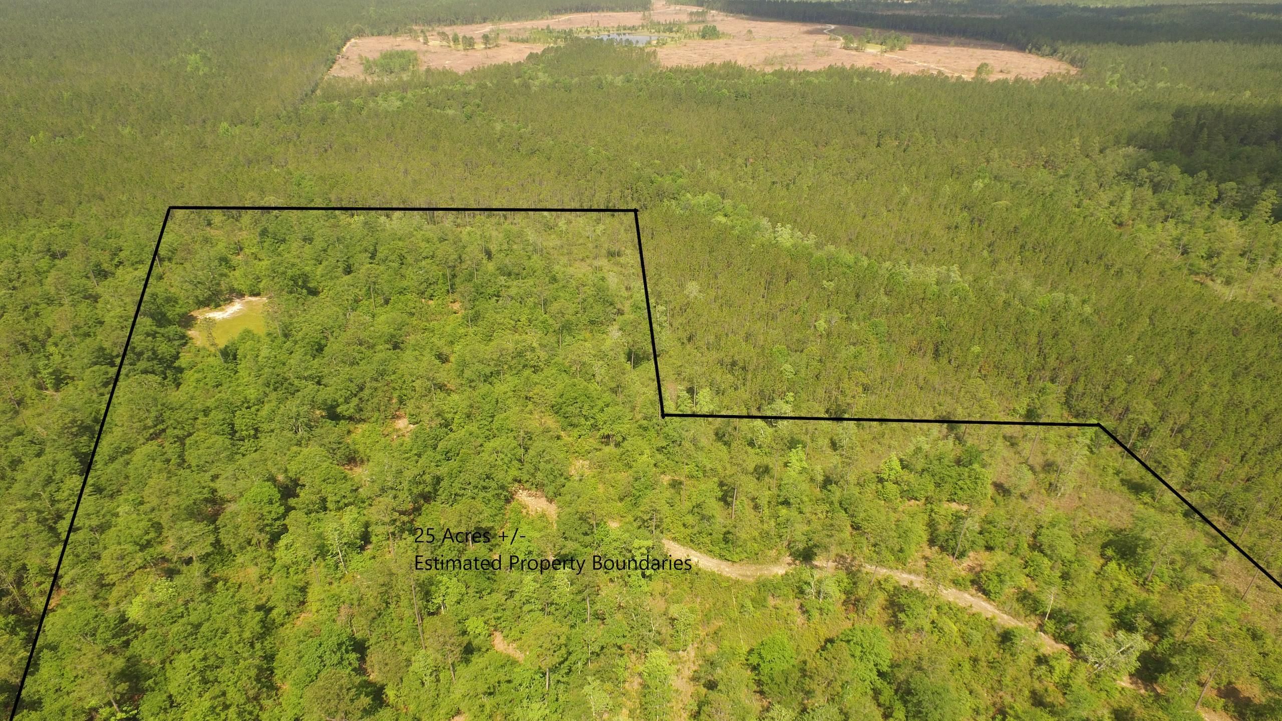 Wagarville, Washington County, AL Recreational Property, Timberland