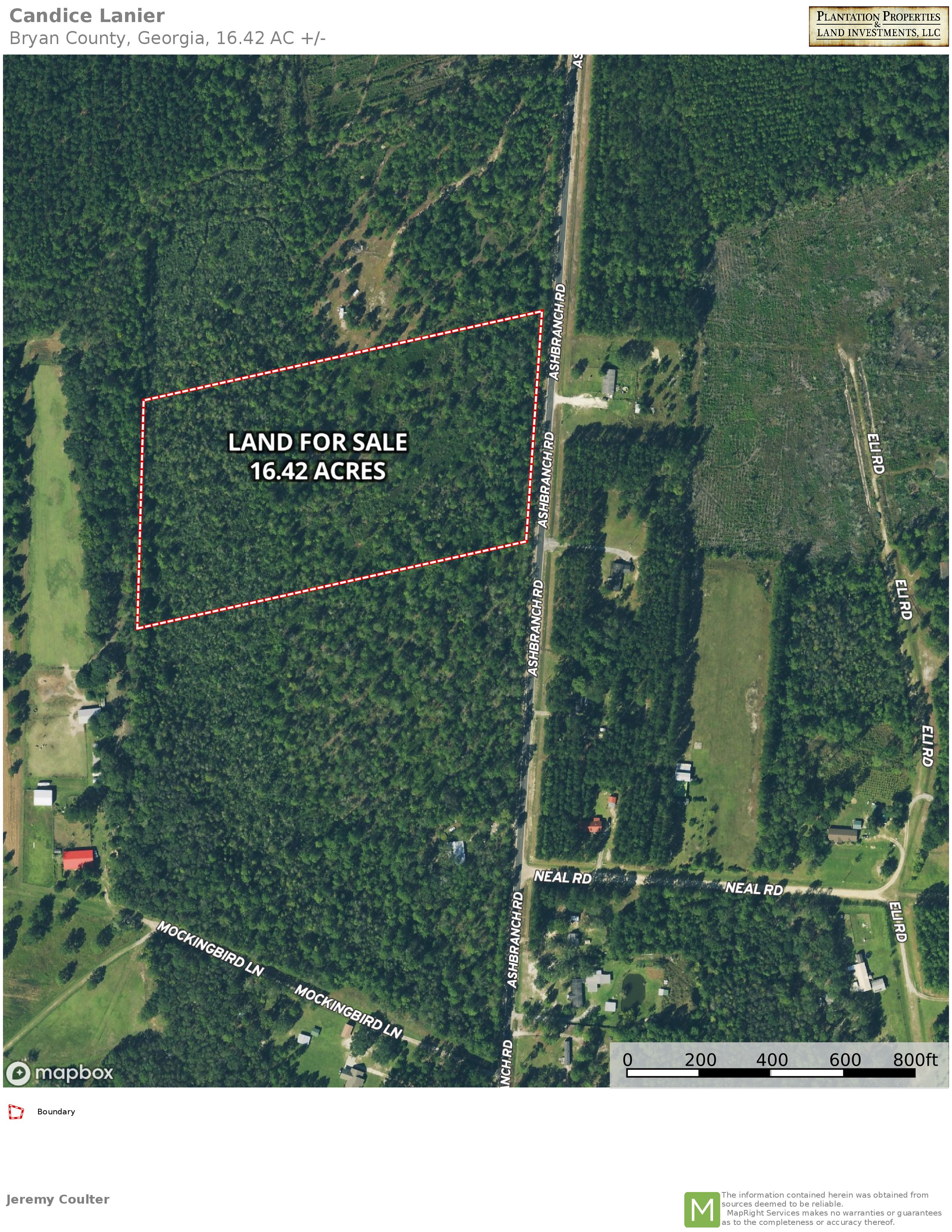 Pembroke, Bryan County, GA Recreational Property, Undeveloped Land for