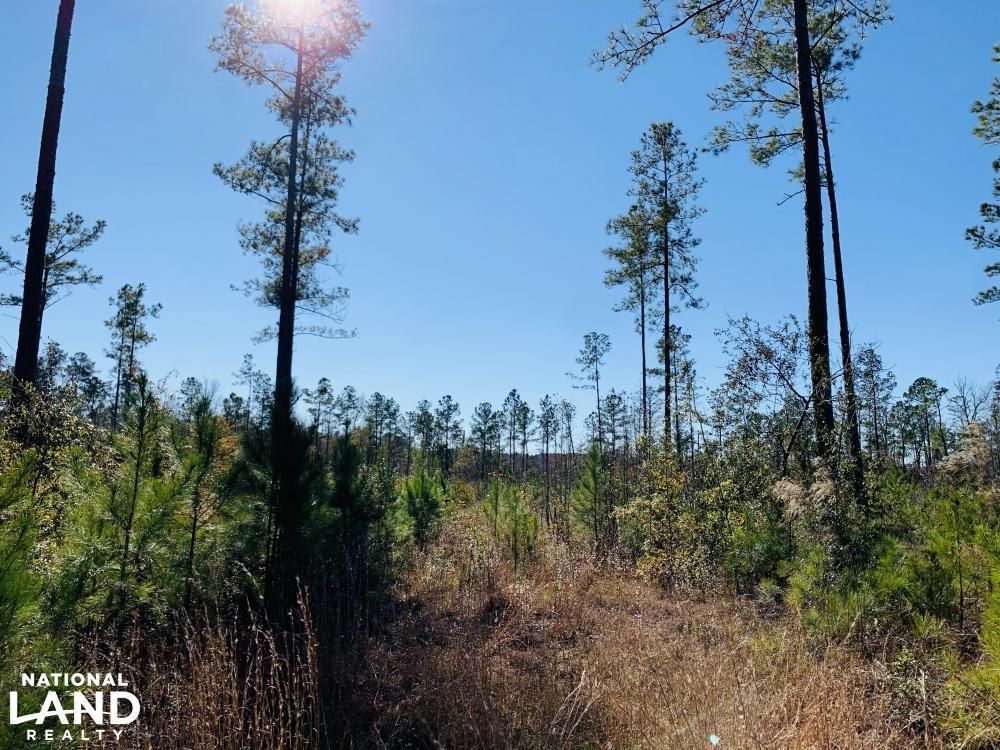 Leland, Brunswick County, NC Recreational Property, Hunting Property