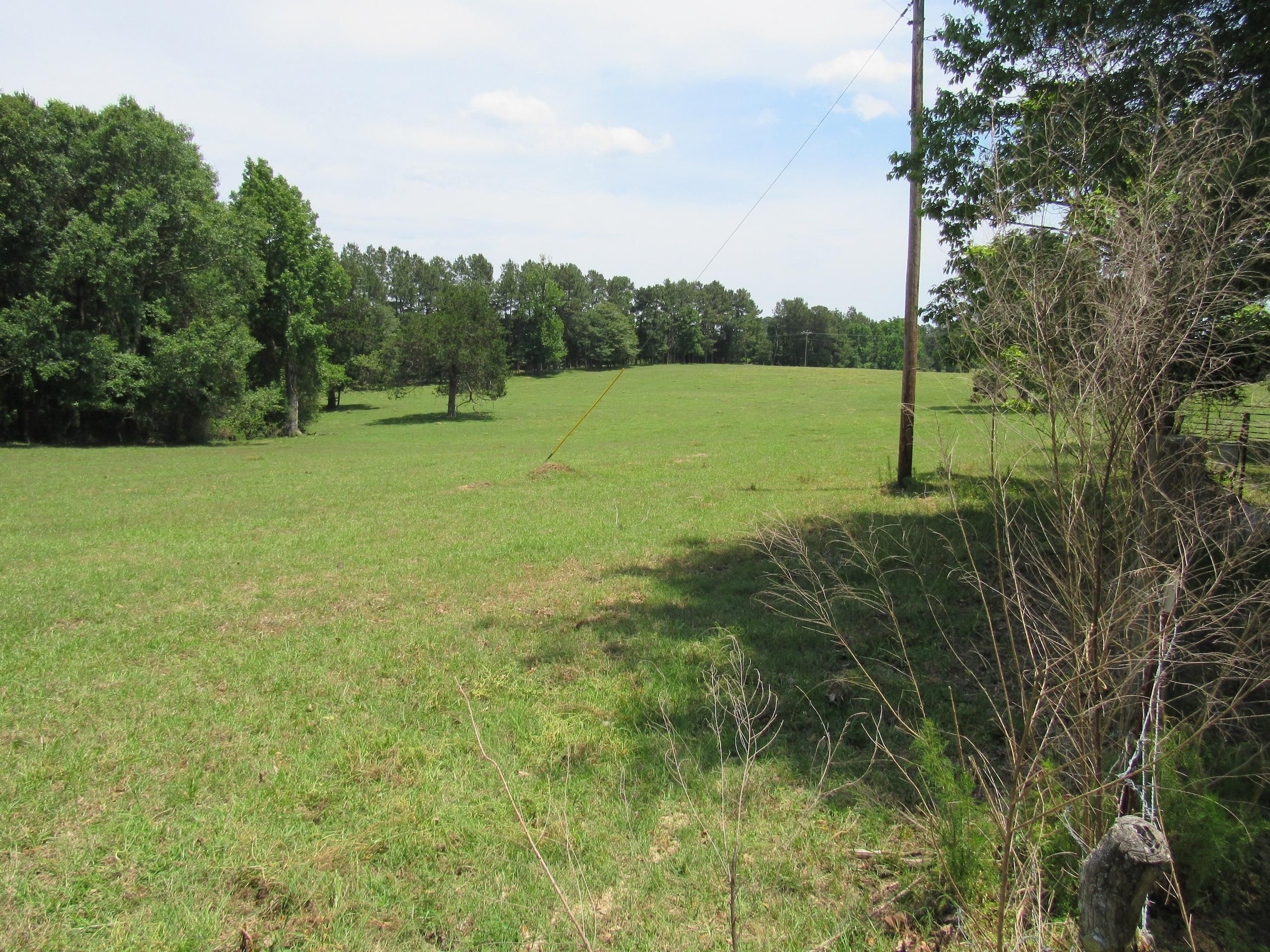 Spearsville, Union Parish, LA Recreational Property, Timberland