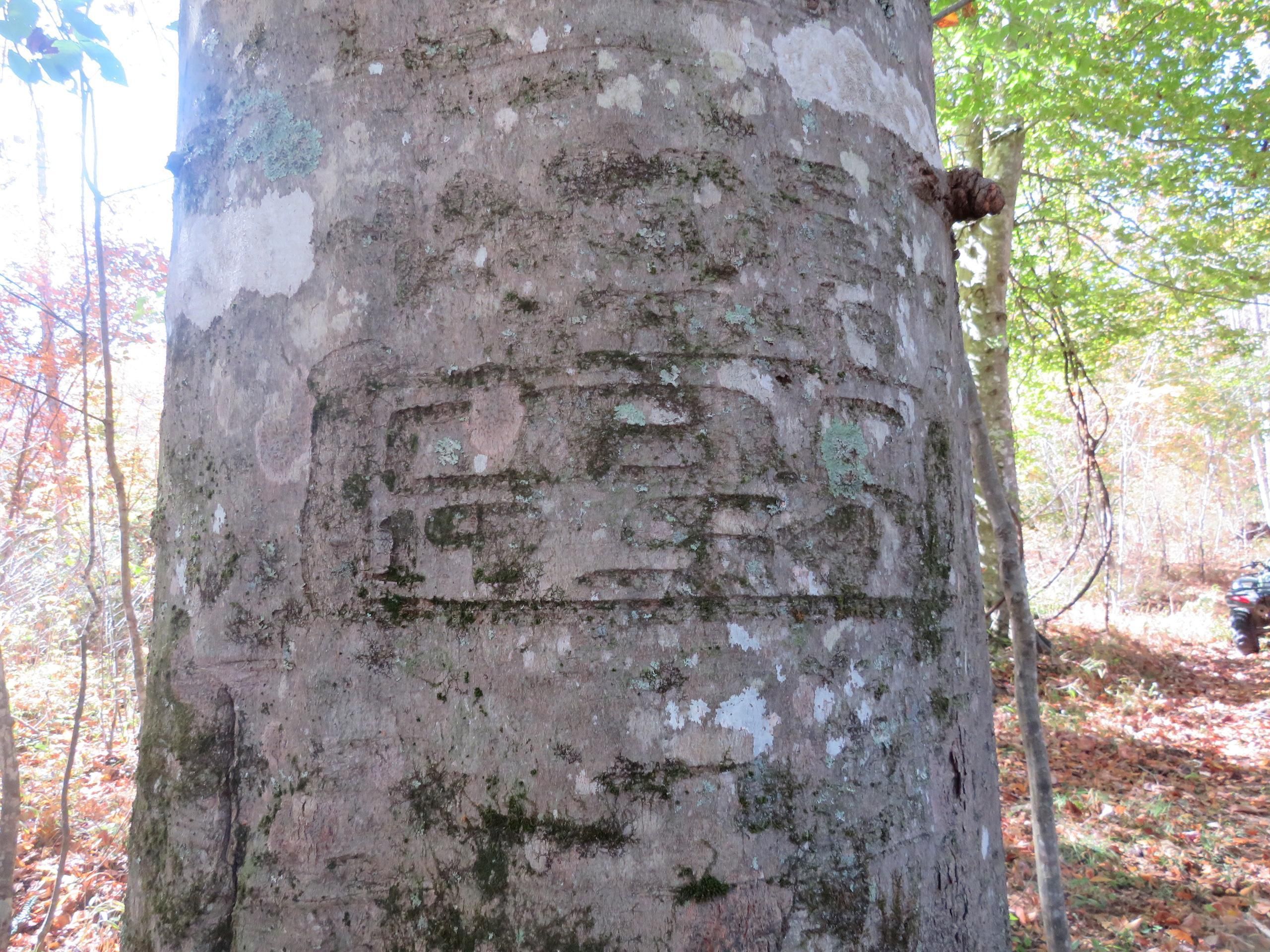 White Sulphur Springs, Greenbrier County, WV Recreational Property