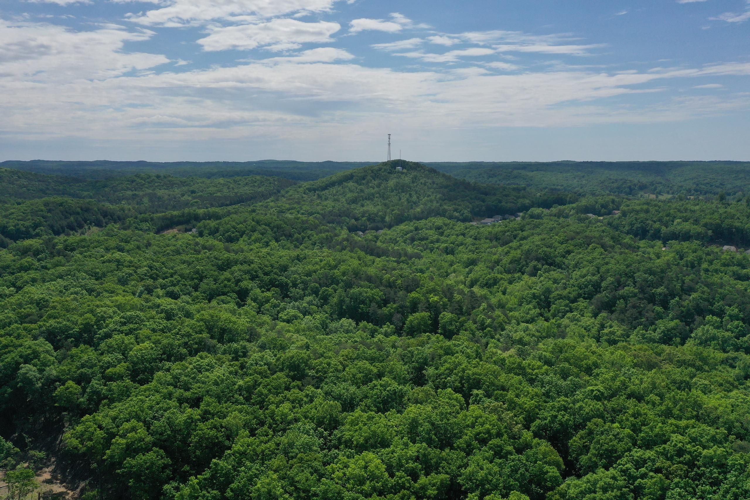 Rockmart, Polk County, GA Recreational Property, Timberland Property