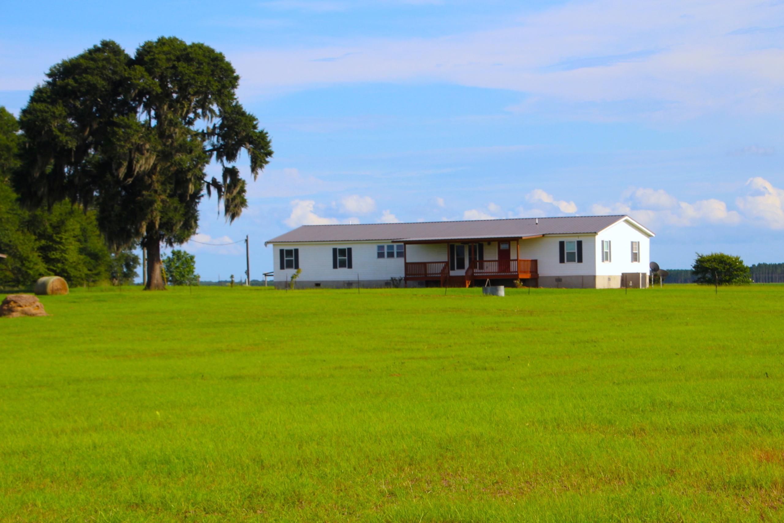 Hawkinsville, Pulaski County, GA Farms and Ranches, Homesites for sale