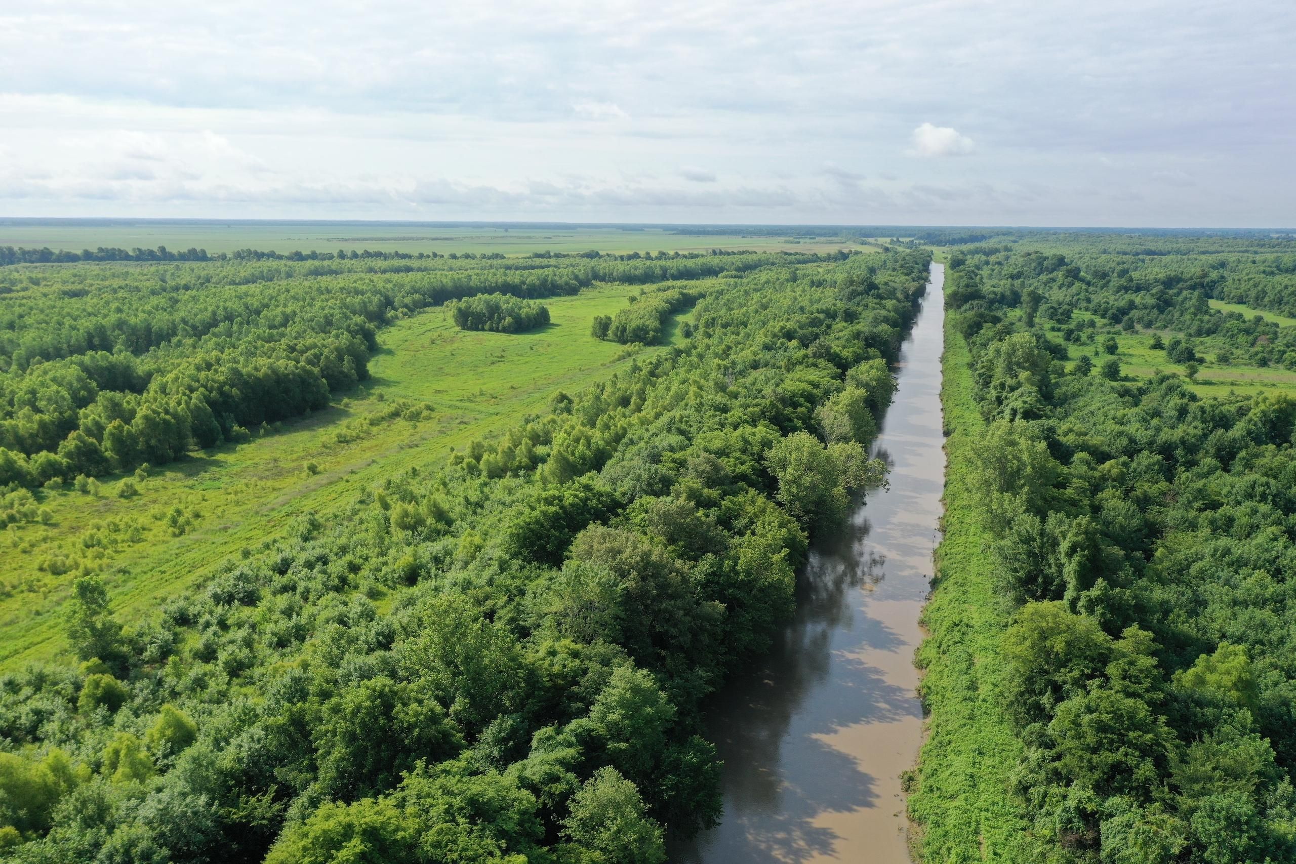 Matthews, New Madrid County, MO Recreational Property, Timberland
