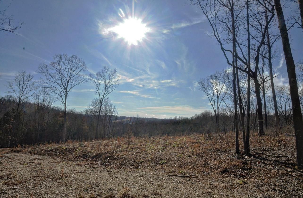 Fordland, Christian County, MO Recreational Property, Timberland