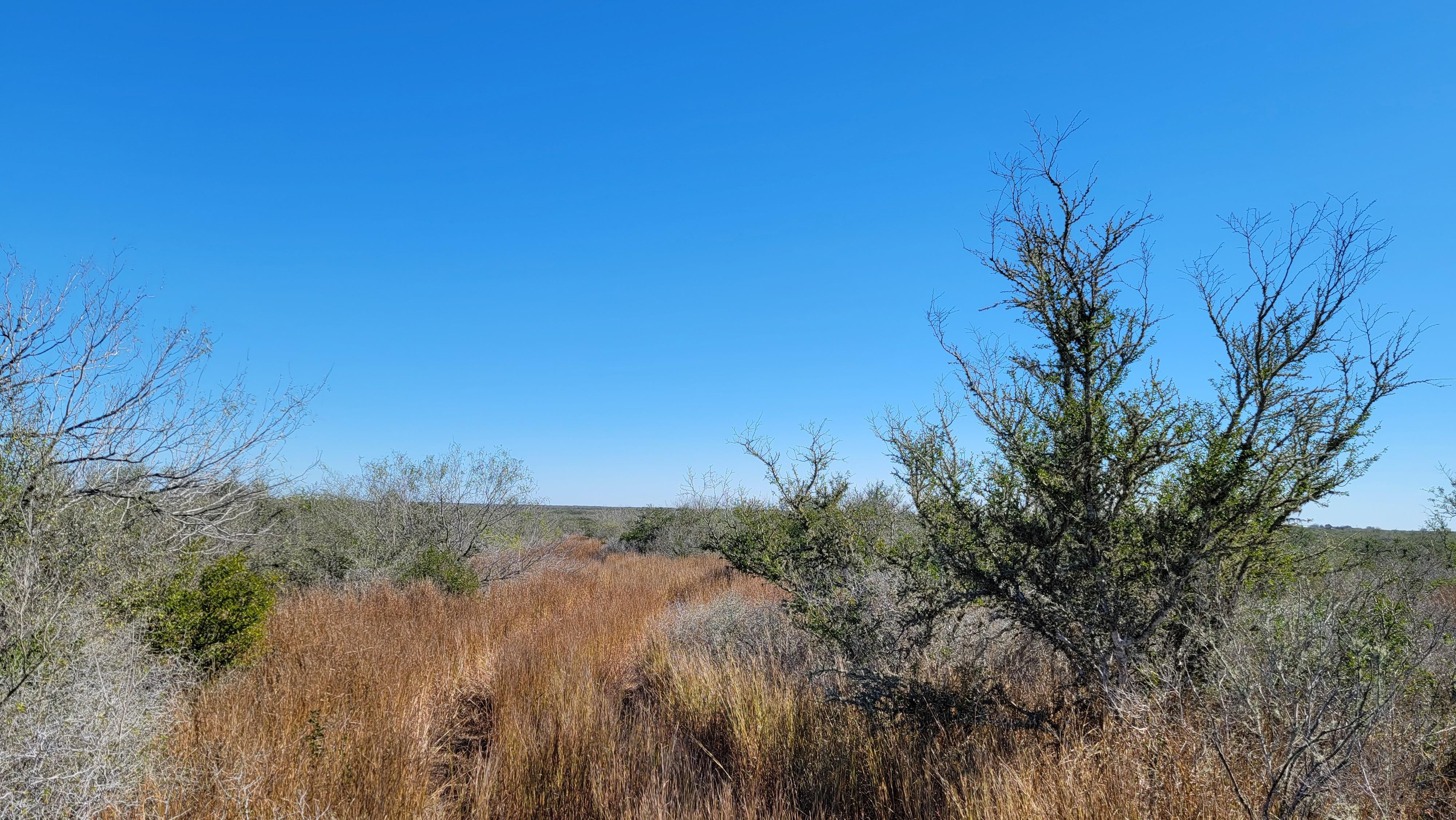 Realitos, Duval County, TX Farms and Ranches, Recreational Property, Hunting Property for sale
