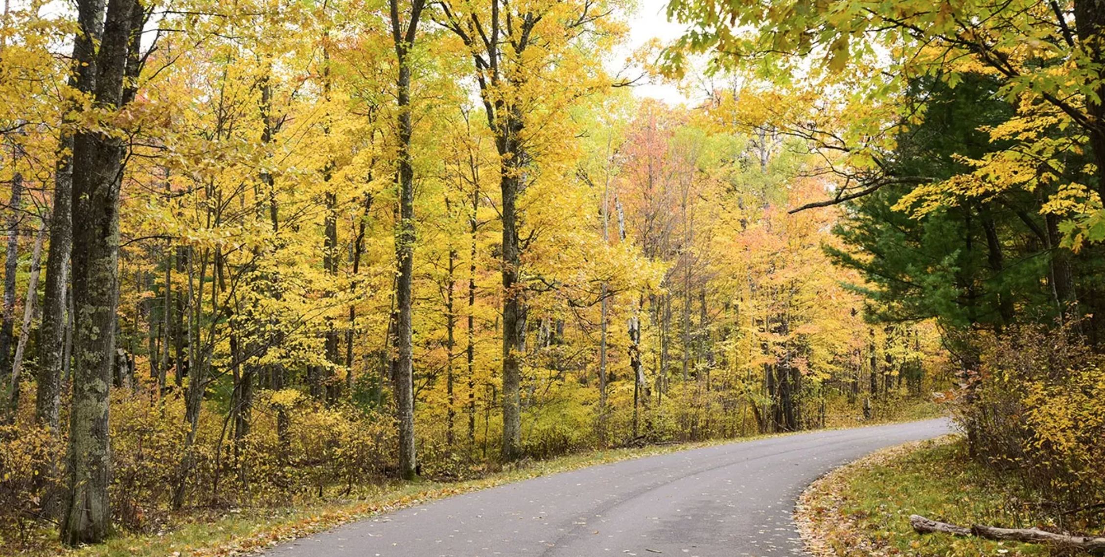 Three Lakes, Oneida County, WI Recreational Property, Hunting Property