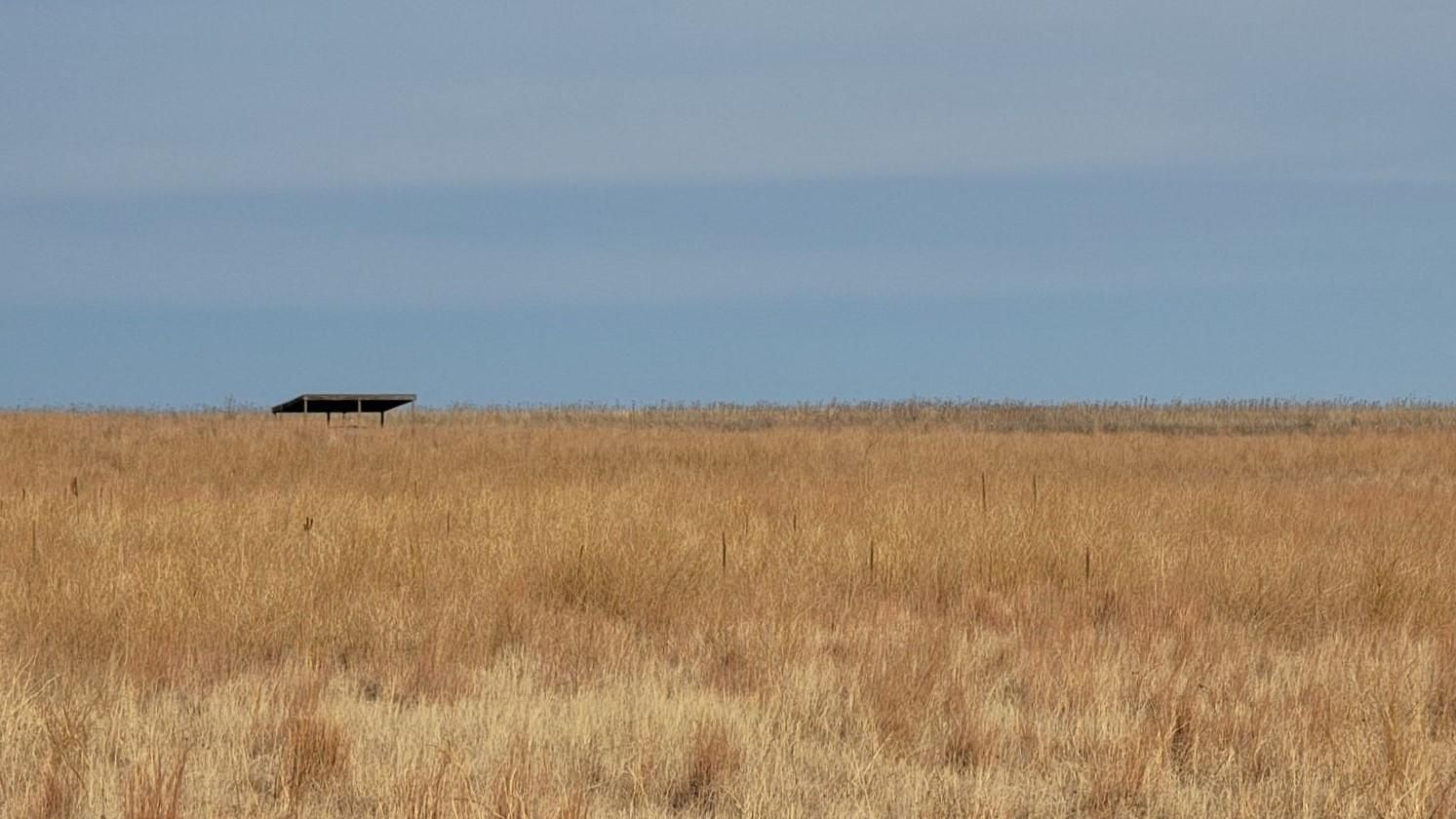 Lorenzo, Cheyenne County, NE Farms and Ranches for sale Property ID
